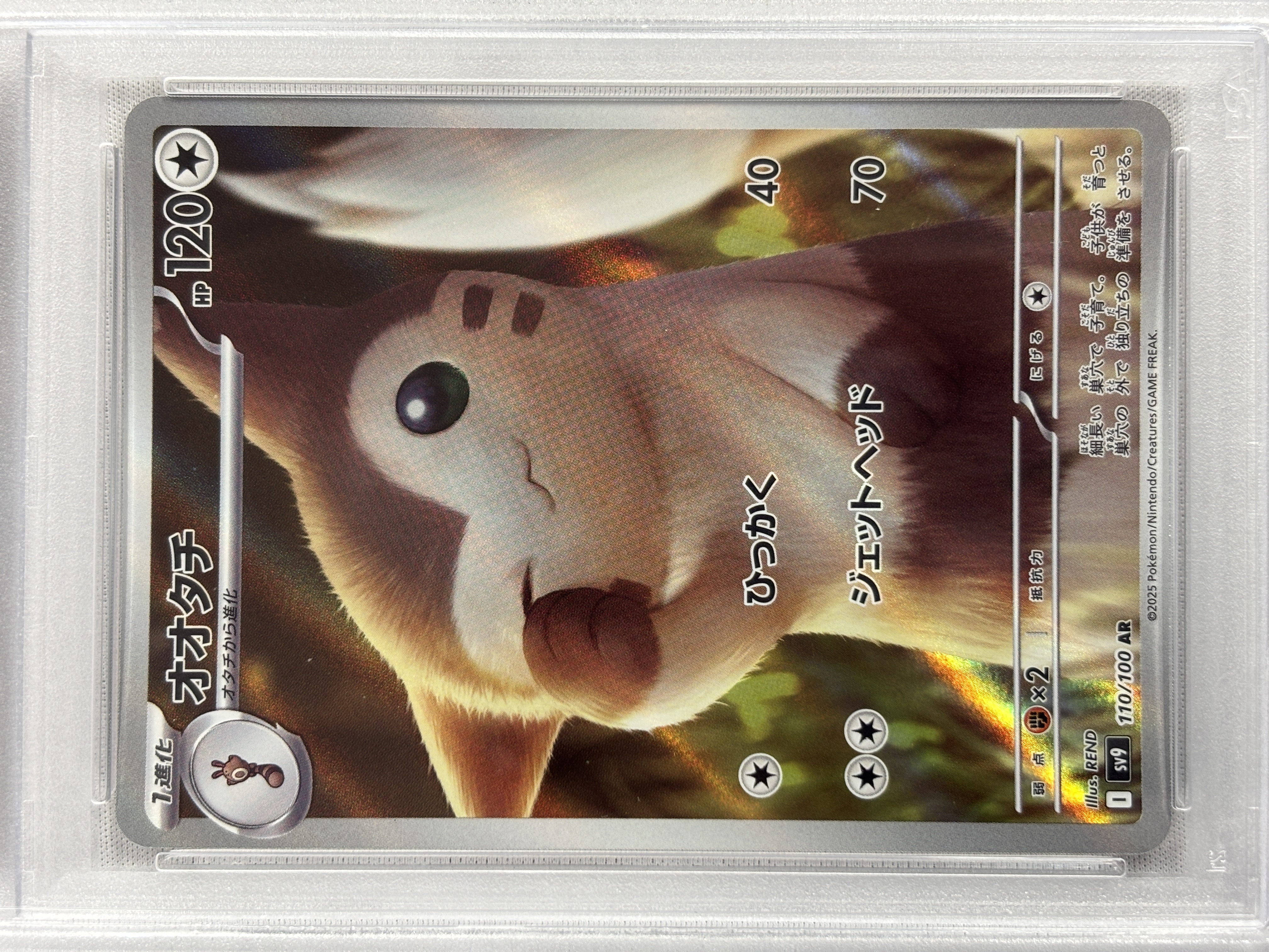 【PSA10】オオタチ(110/100)[AR]【SV9】