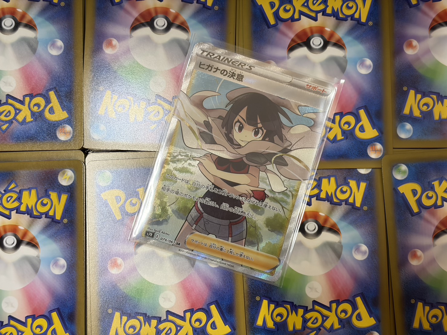 ねこのまたたび(ヒガナの決意)※同時購入、コンビニ/銀行決済不可