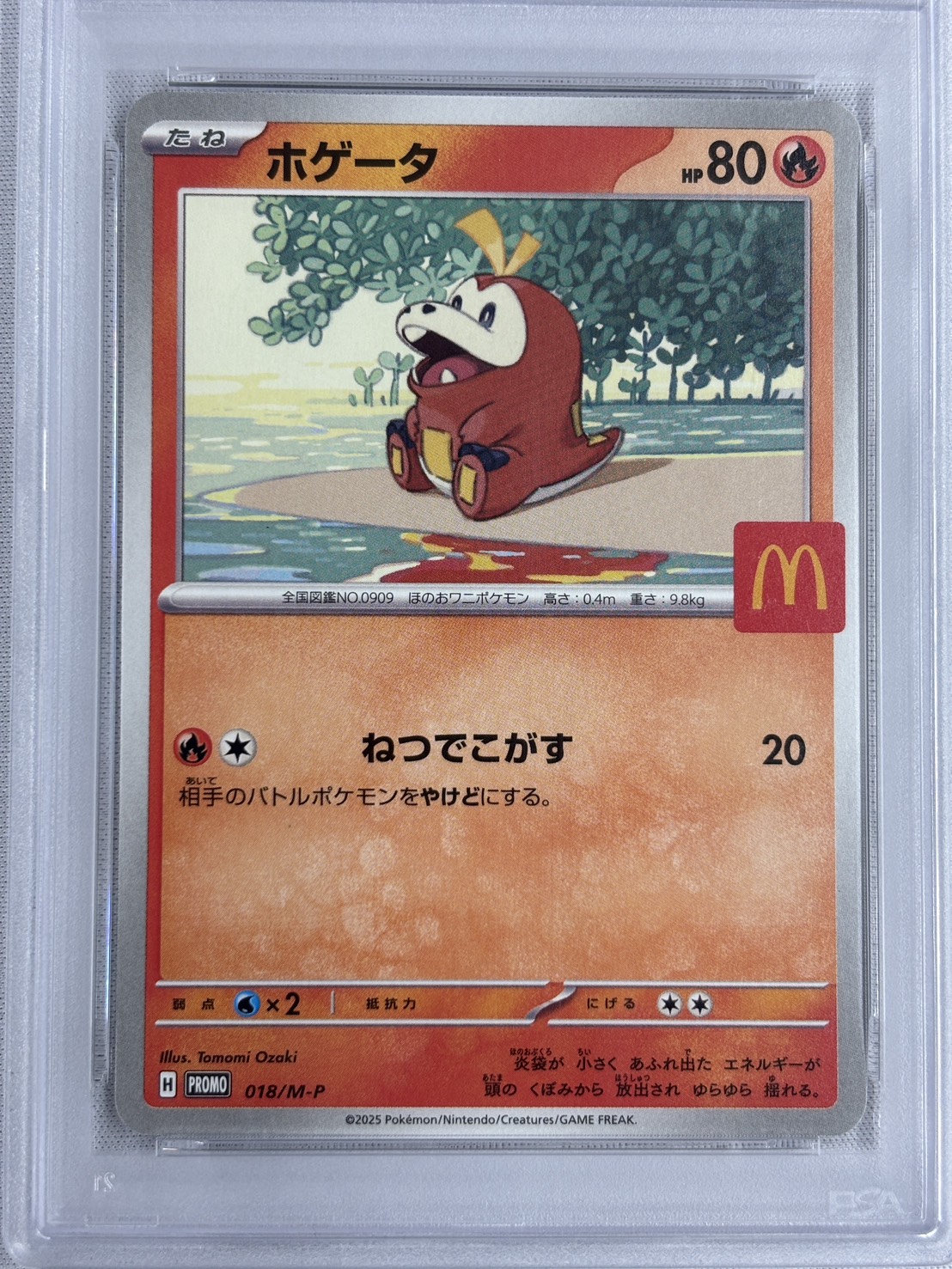 【PSA10】ホゲータ(マクドナルド)(018/M-P)[] 【PROMO】