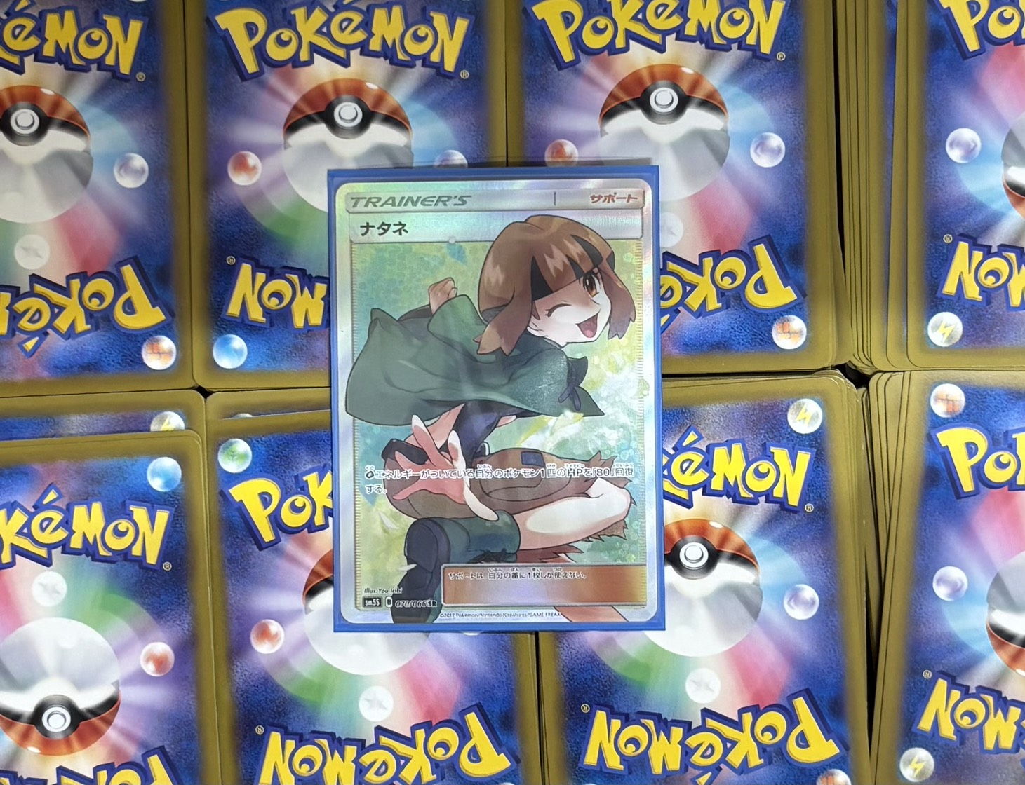 ねこのまたたび(ナタネ)※同時購入、コンビニ/銀行決済不可