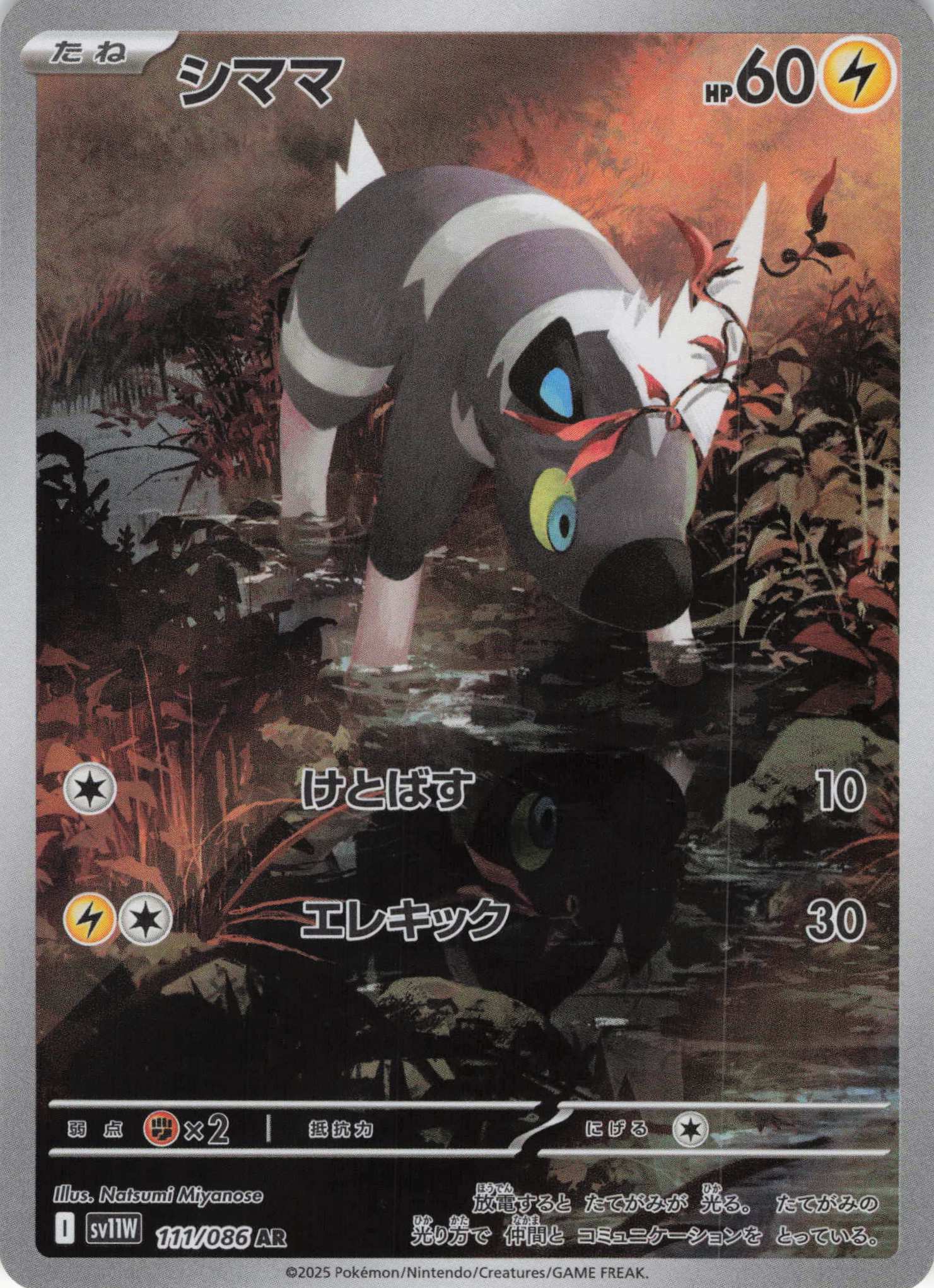 【状態B】シママ(111/086)[AR]【SV11W】