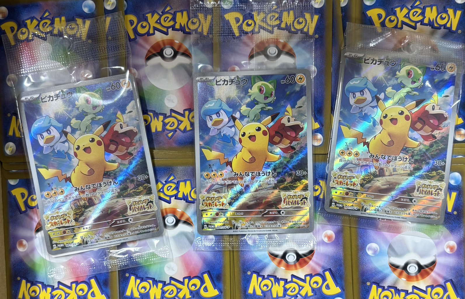 ねこのまたたび(ピカチュウ)※同時購入、コンビニ/銀行決済不可