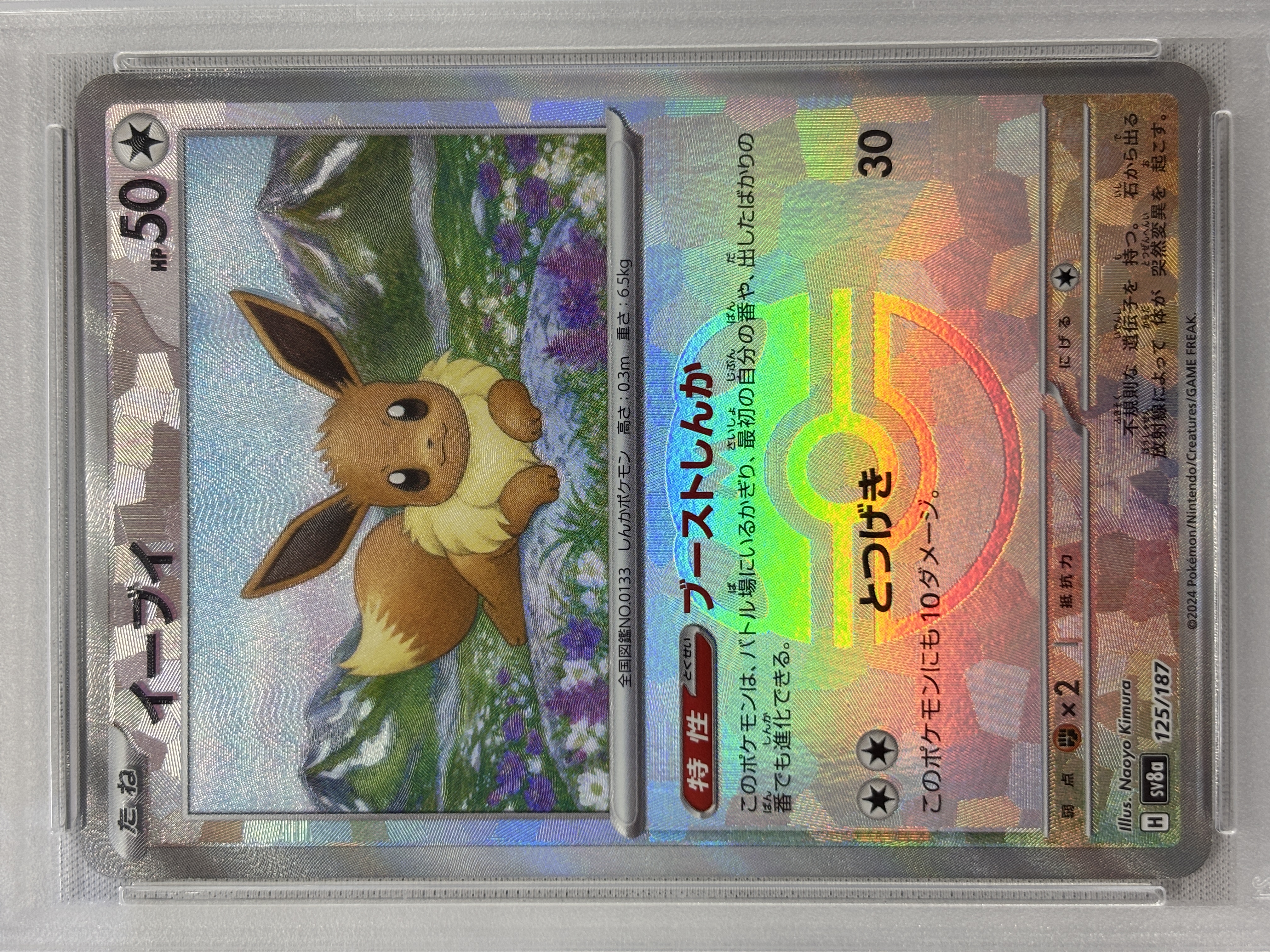 PSA10】イーブイ[マスターボールミラー](125/187)【SV8a】 | 福福