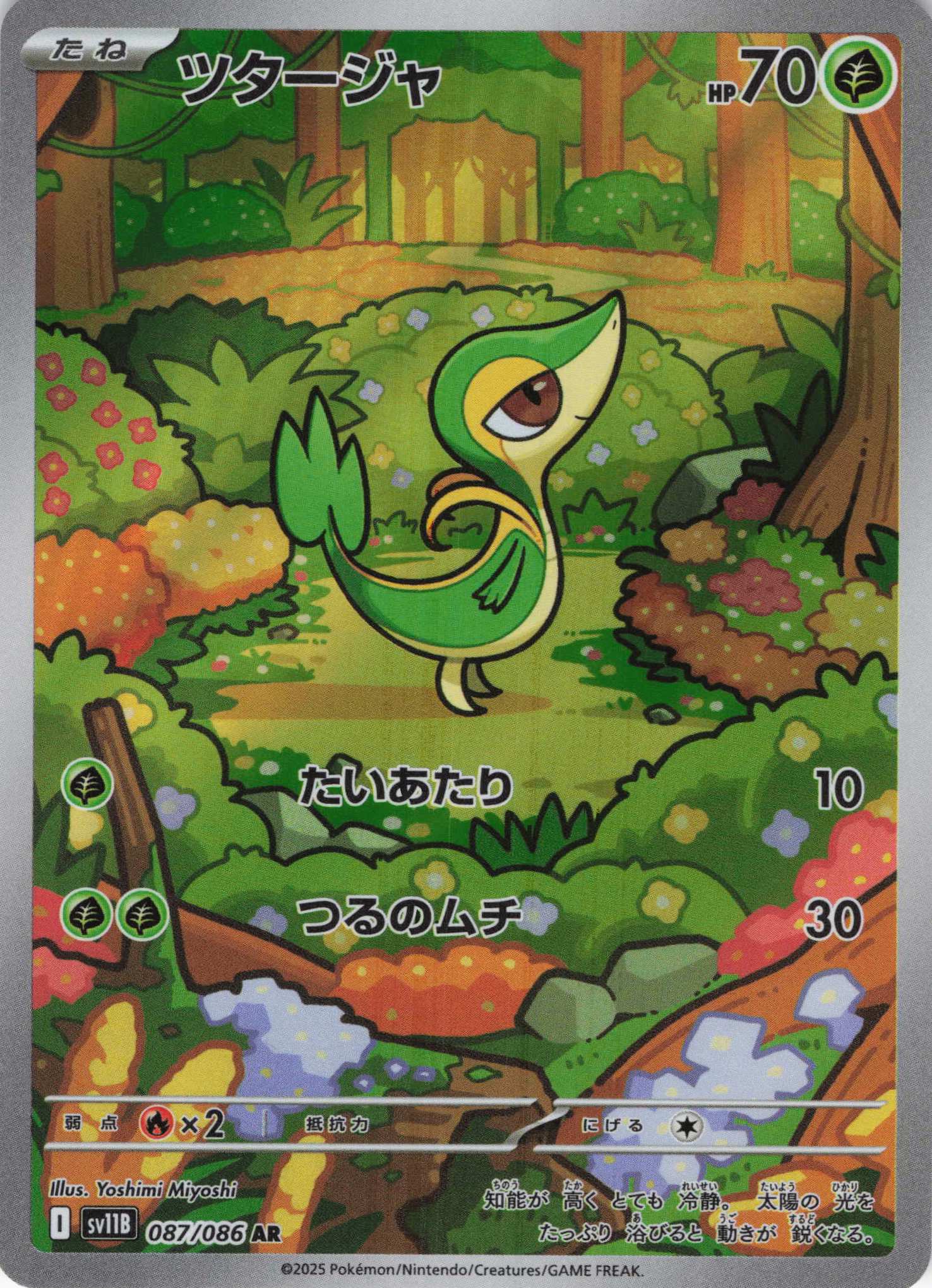 【状態B】ツタージャ(087/086)[AR]【SV11B】