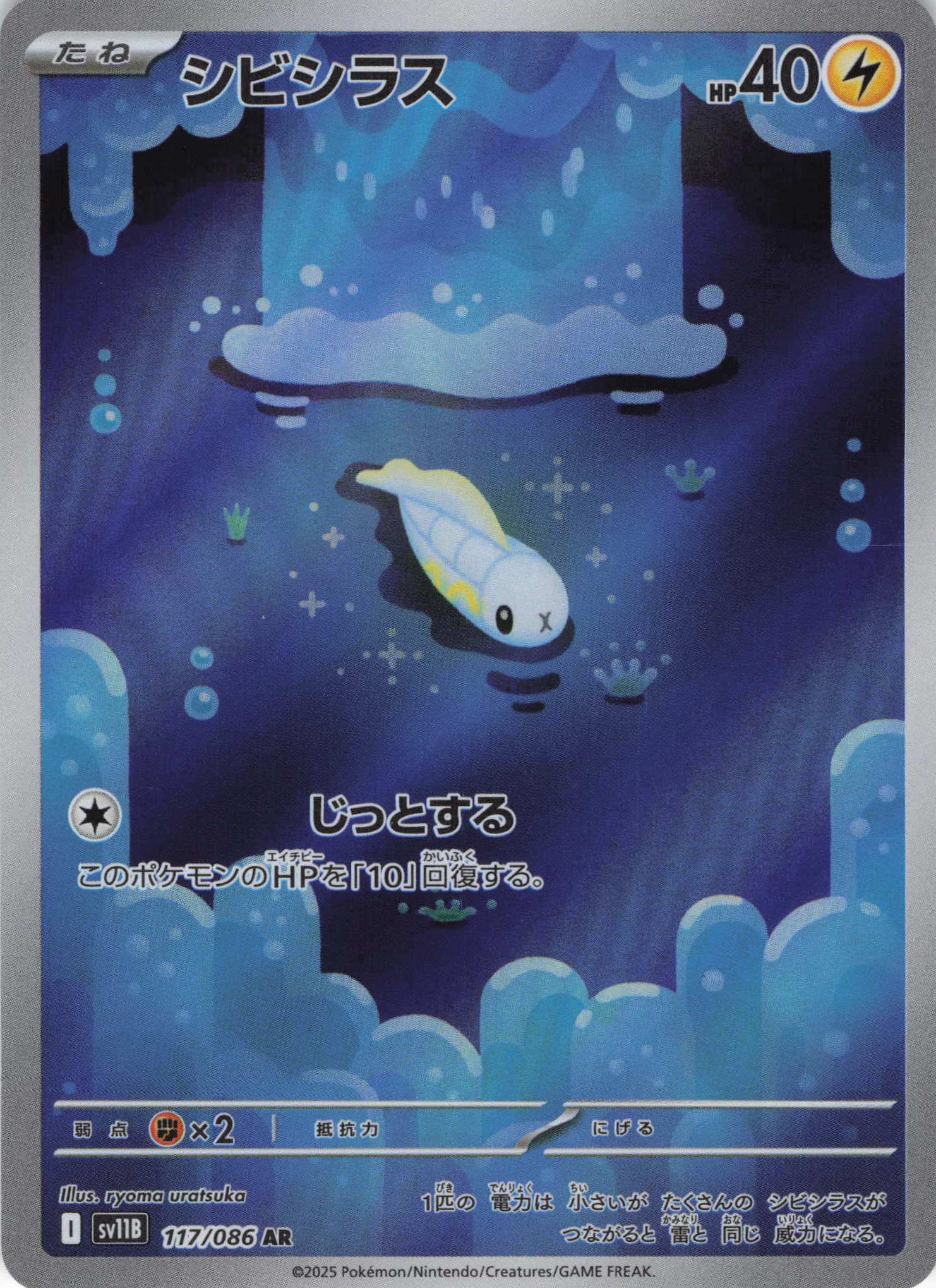 【状態B】シビシラス(117/086)[AR]【SV11B】