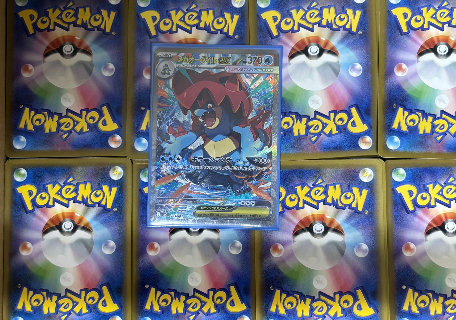 ねこのまたたび(Sメガオーダイルex)※同時購入、コンビニ/銀行決済不可