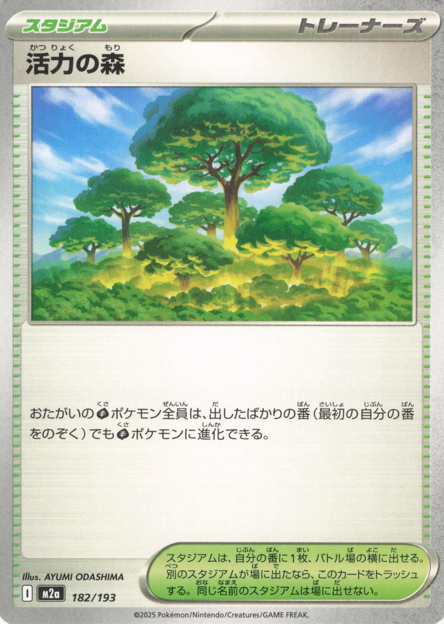 【状態B】活力の森(182/193)［C］【M2A】