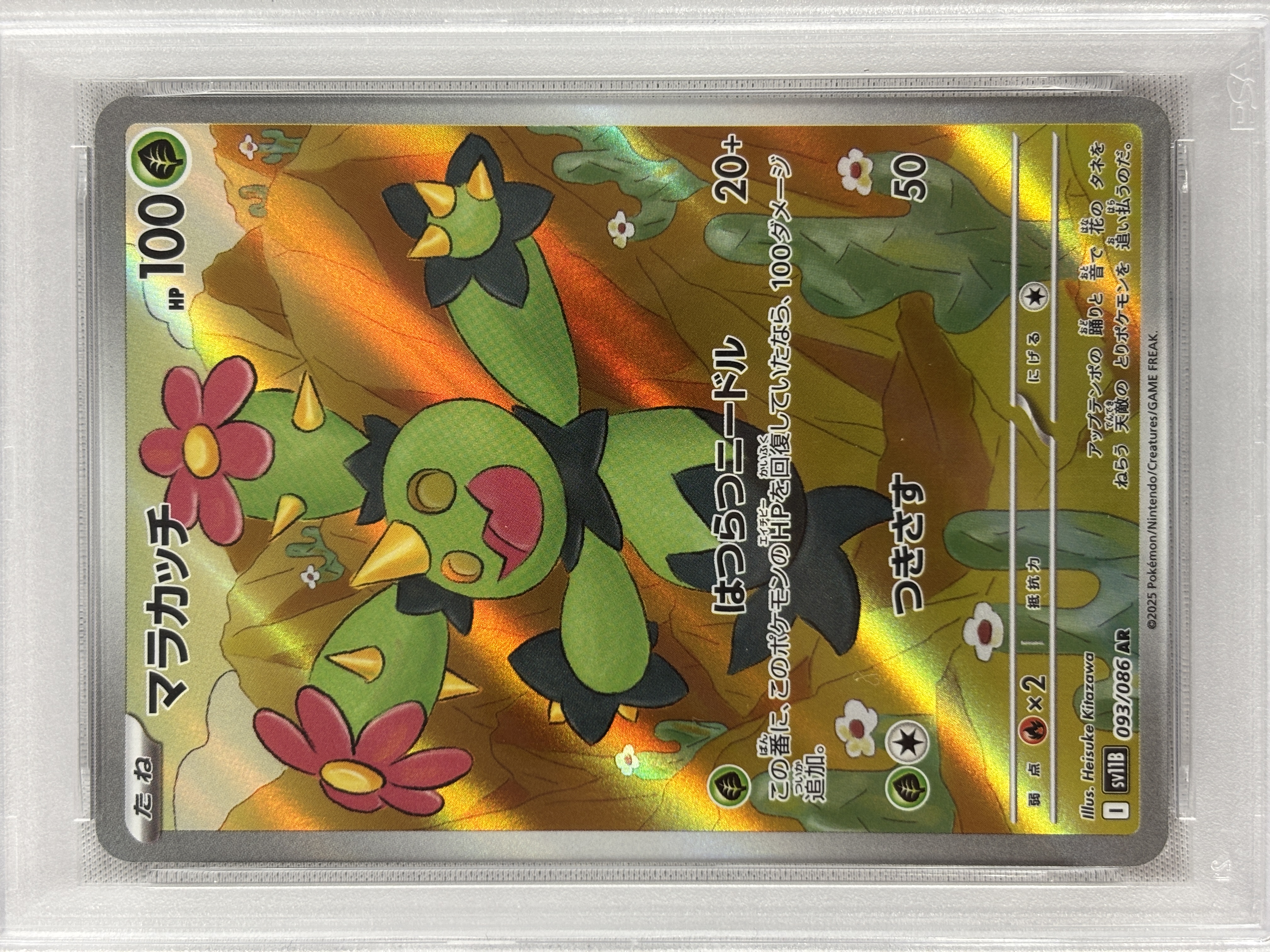 【PSA10】マラカッチ(093/086)[AR]【SV11B】