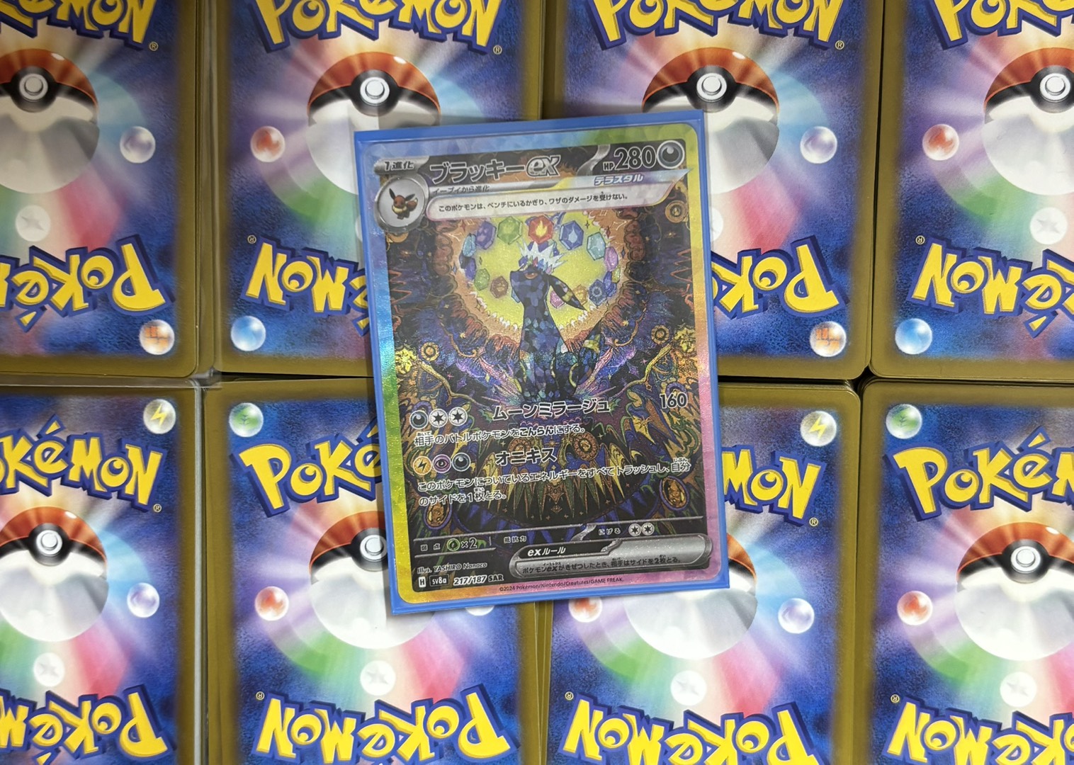 ねこのまたたび(ブラッキーex)※同時購入、コンビニ/銀行決済不可