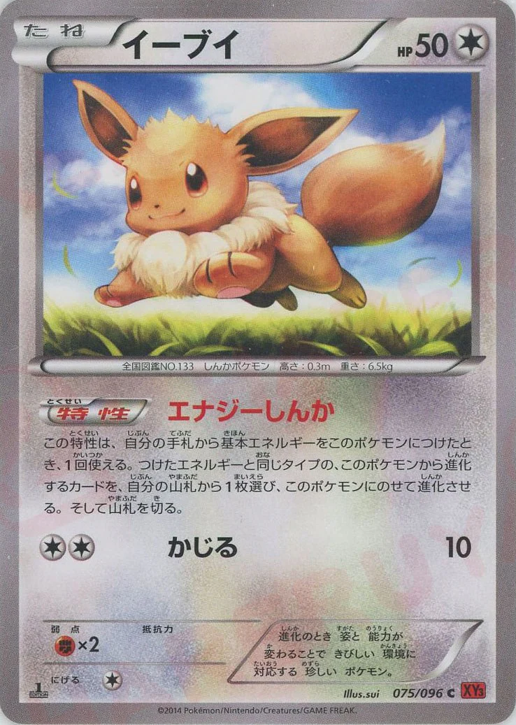 【状態B】イーブイ(075/096)