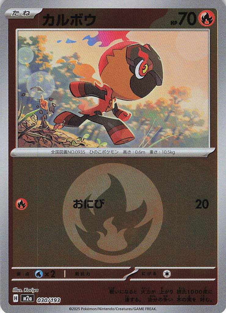 【状態B】カルボウ［エネルギーミラー］(030/193)[C]【M2A】