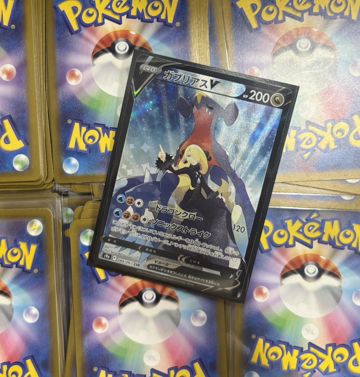 ねこのまたたび(ガブリアスV)※同時購入、コンビニ/銀行決済不可