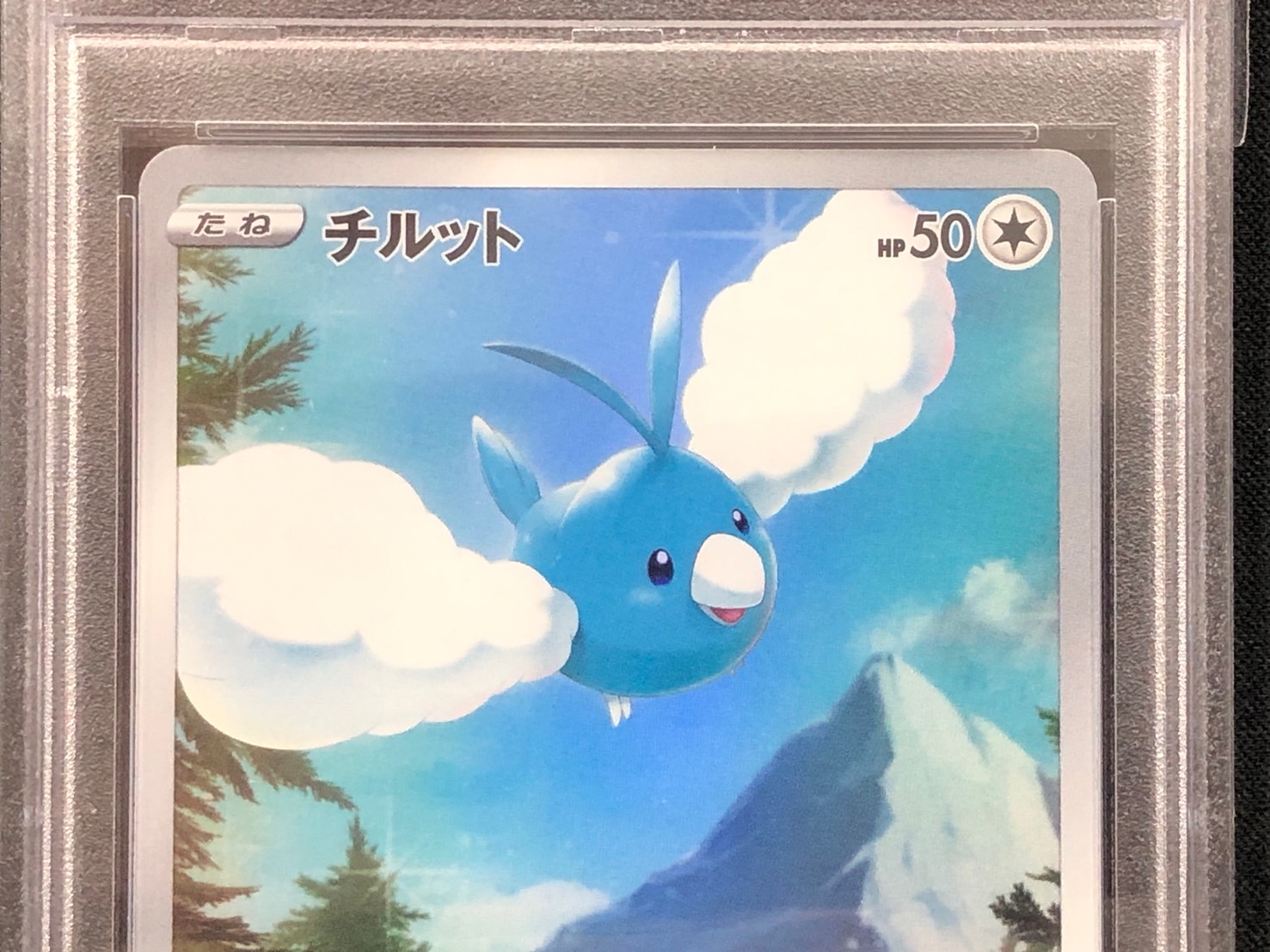 【鑑定済み：PSA10】チルット(202/172)[AR]【s12a】