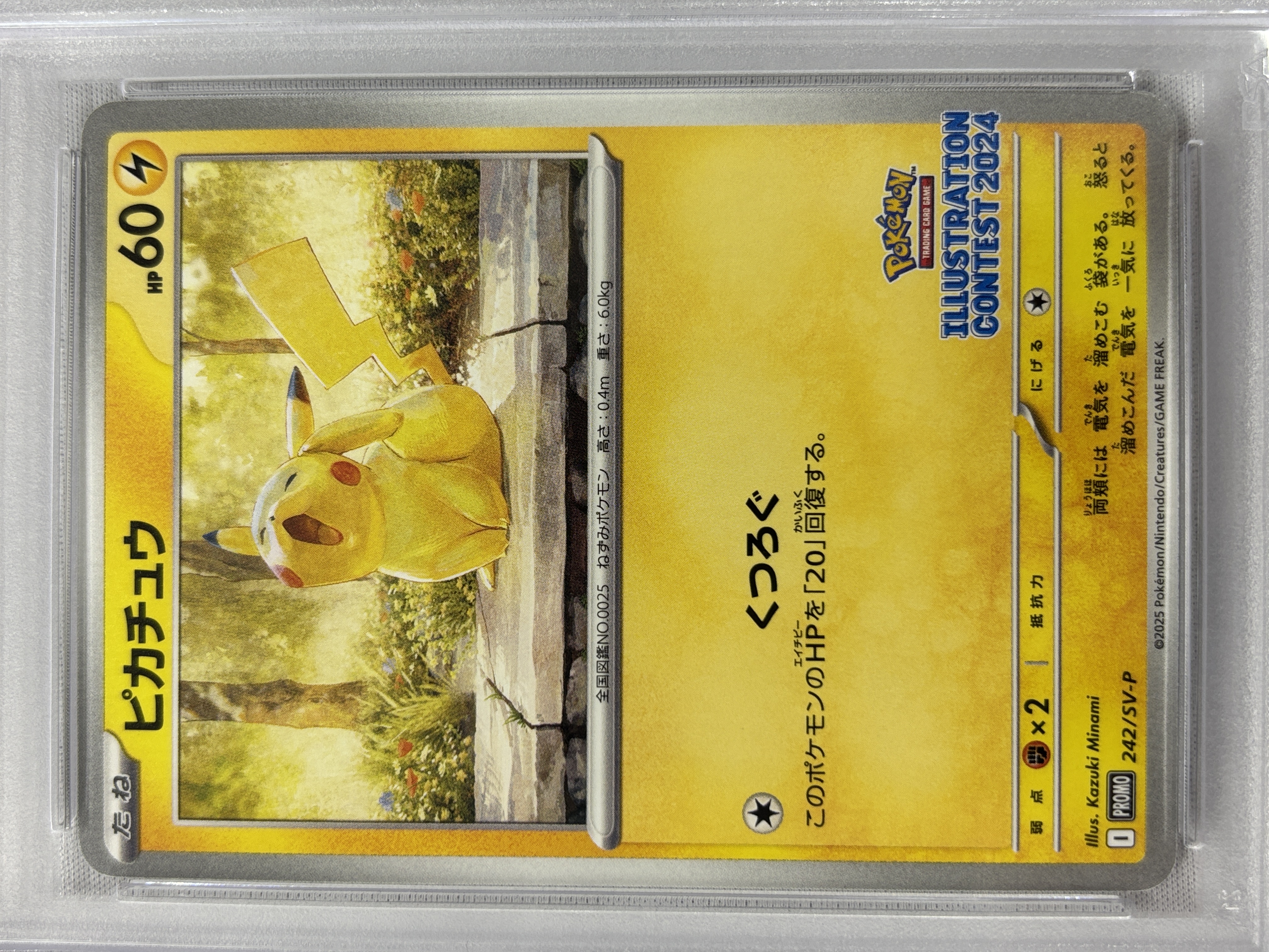 【PSA10】ピカチュウ (242/SV-P)[P]【PROMO】