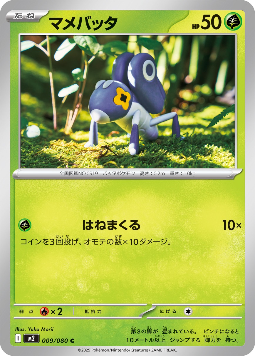 マメバッタ(009/080)[C]【M2】