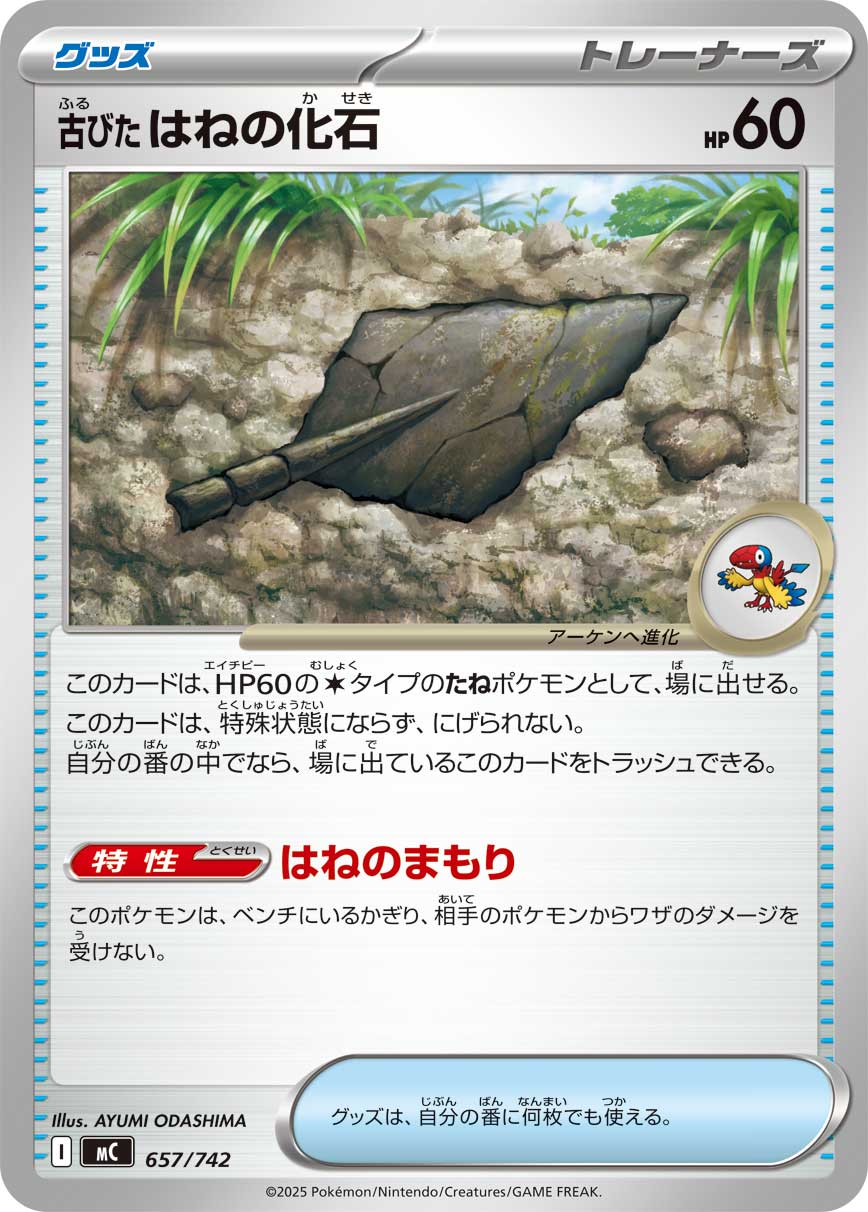 古びたはねの化石(657/742)[]【MC】