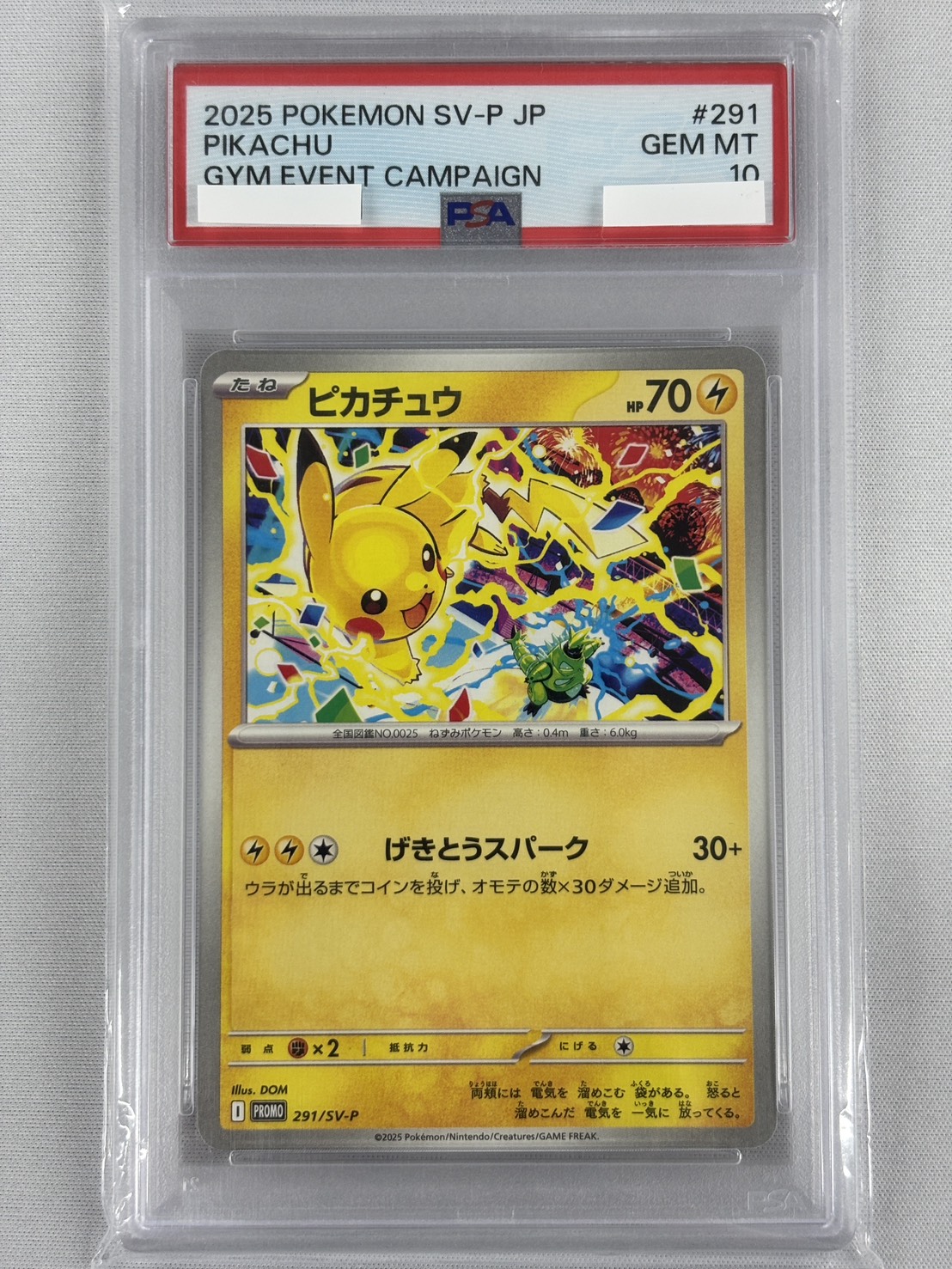 【PSA10】ピカチュウ(291/SV-P)［P］【PROMO】①