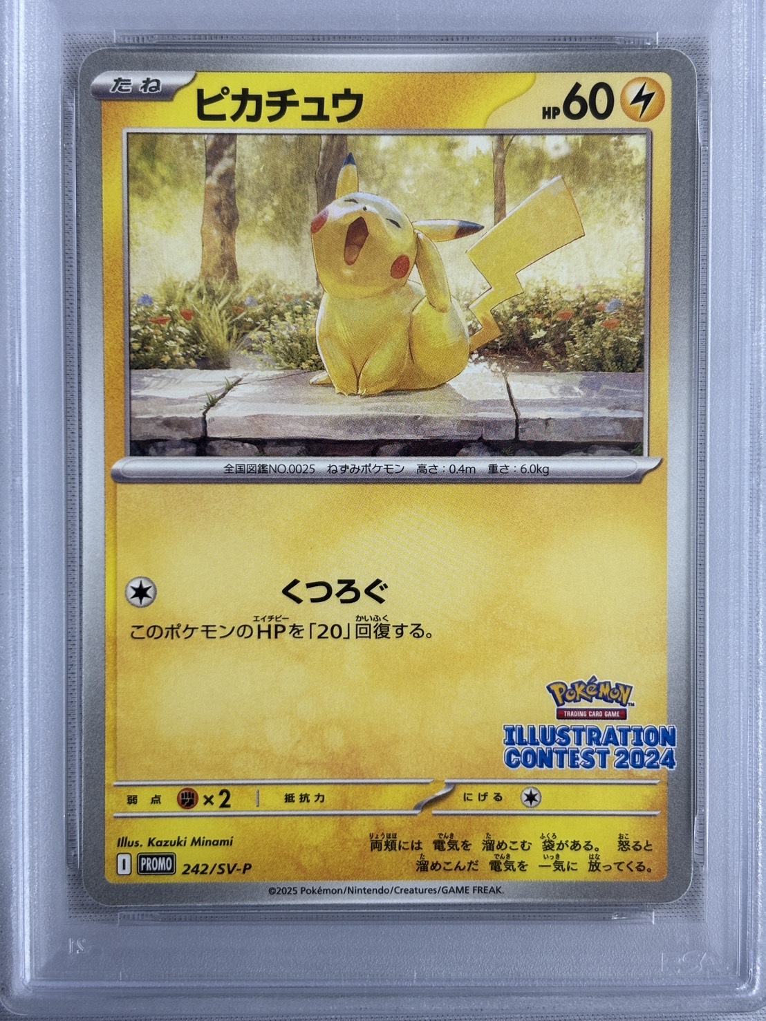 【PSA10】ピカチュウ (242/SV-P)[P]【PROMO】②
