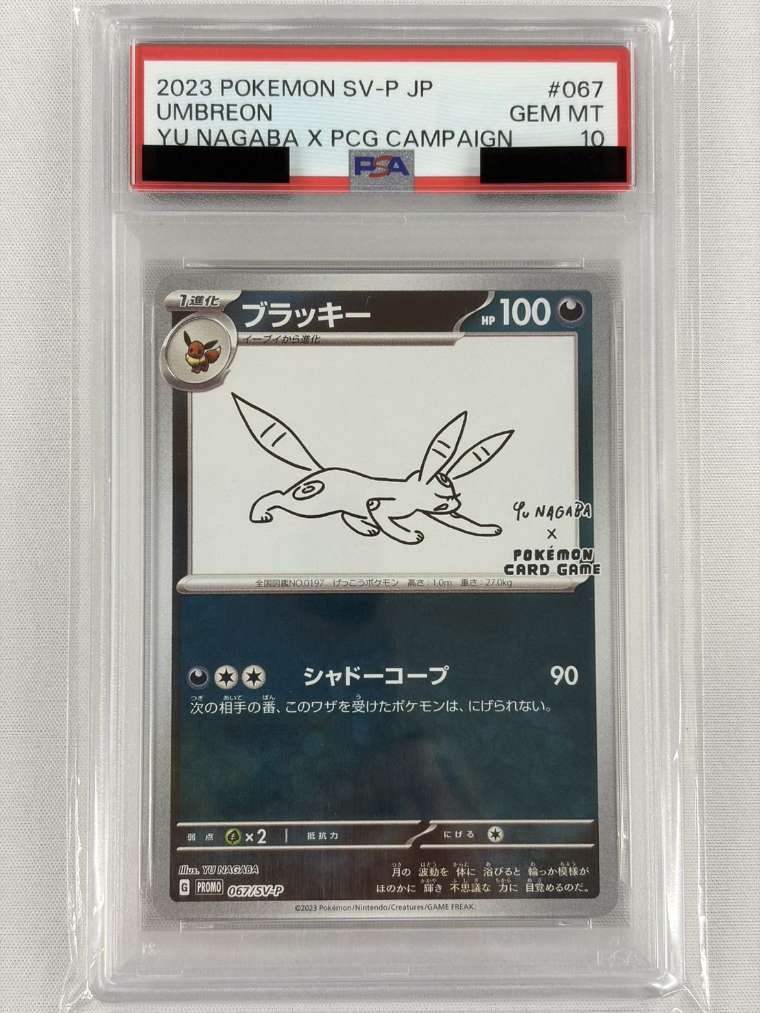 【PSA10】ブラッキー(067/SV-P)[Yu Nagaba]【P】