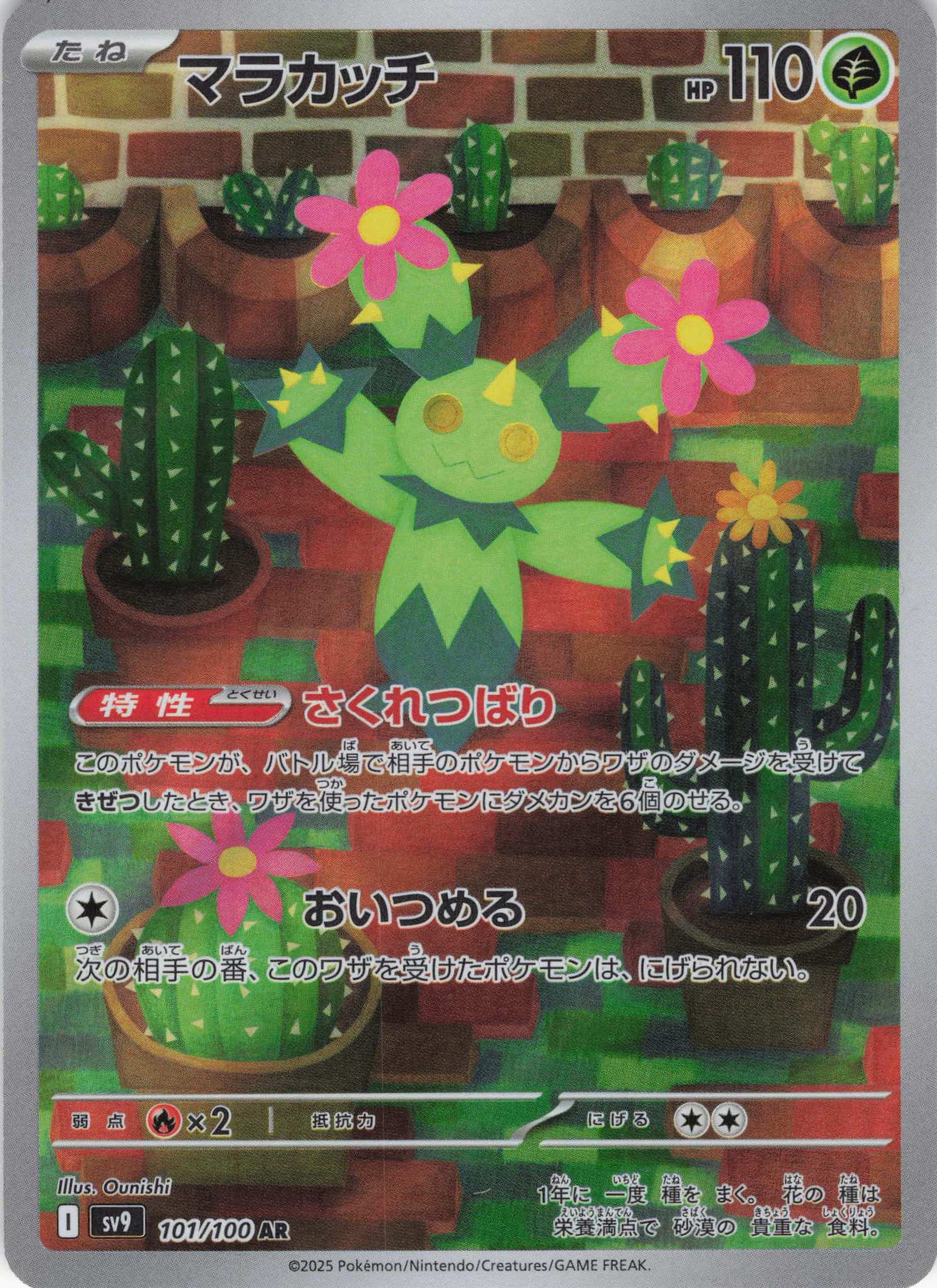 【状態B】マラカッチ(101/100)[AR]【SV9】