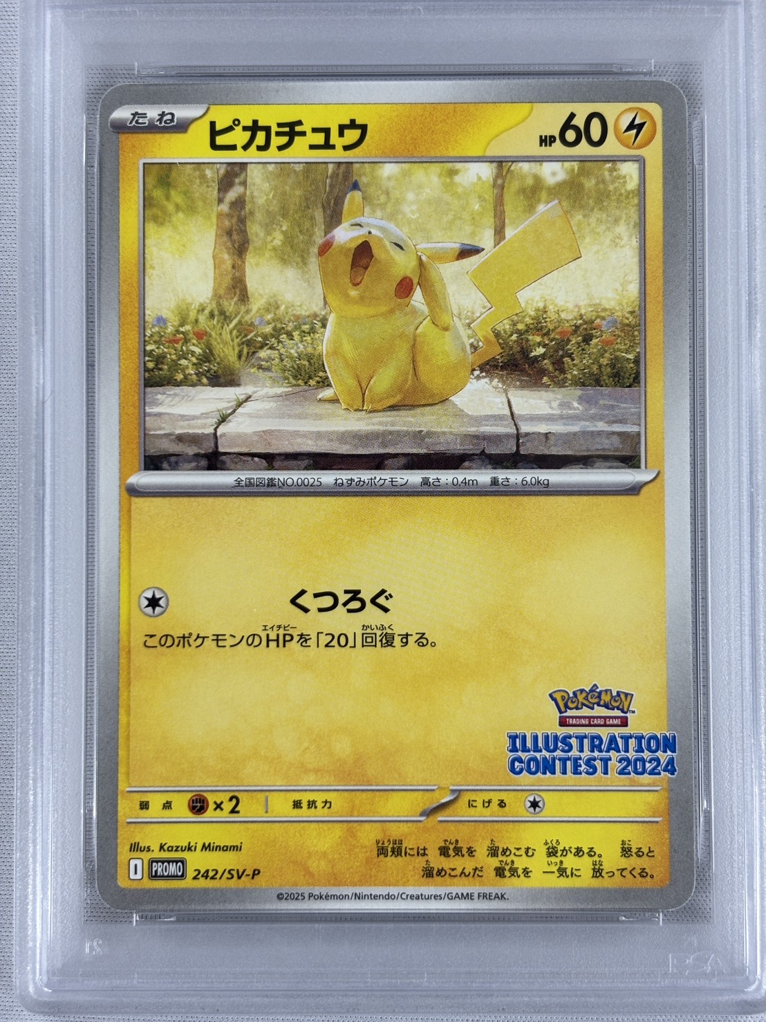 【PSA10】ピカチュウ (242/SV-P)[P]【PROMO】