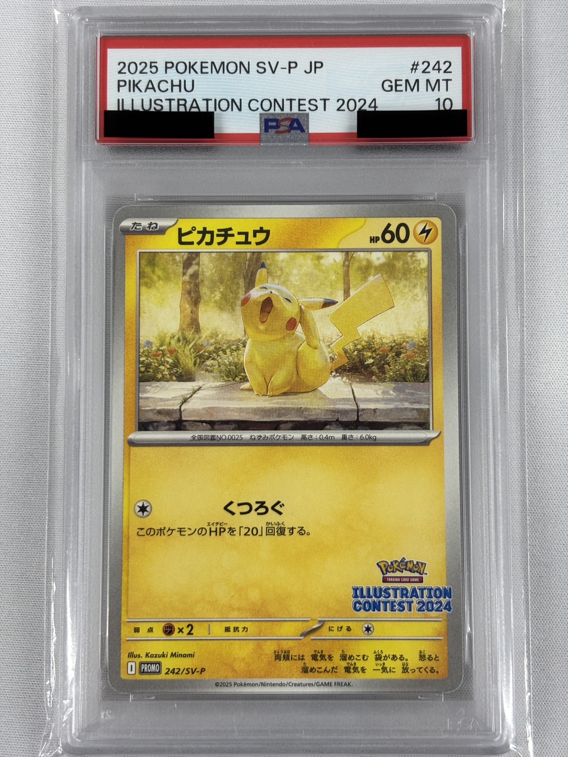 【PSA10】ピカチュウ (242/SV-P)[P]【PROMO】