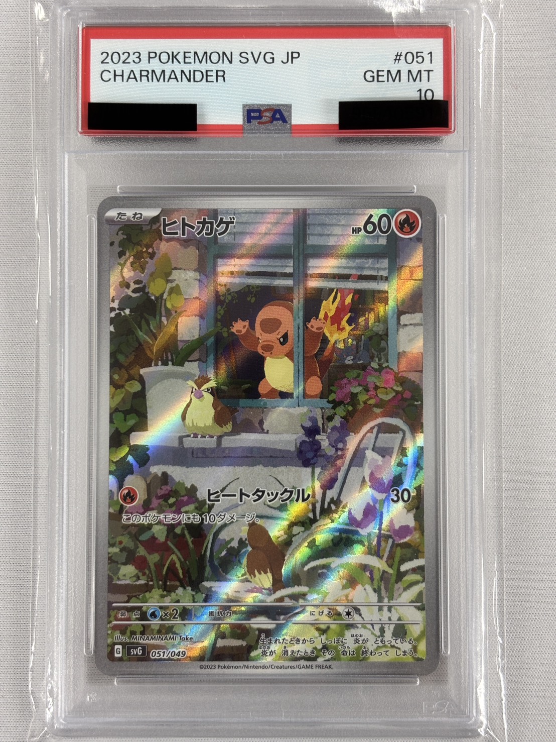 【PSA10】ヒトカゲ(051/049)[AR仕様]【SVG】