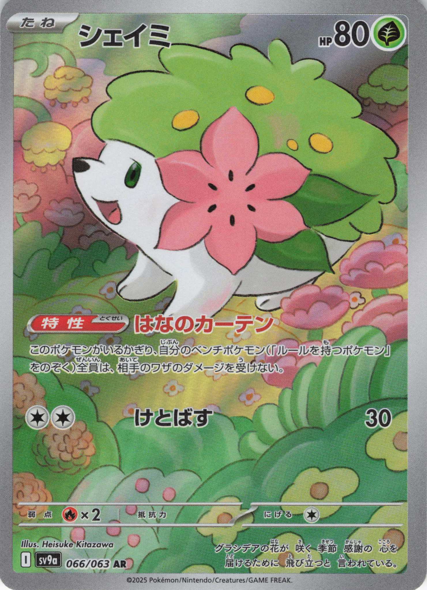 【福の日特価】シェイミ(066/063)[AR]【SV9a】