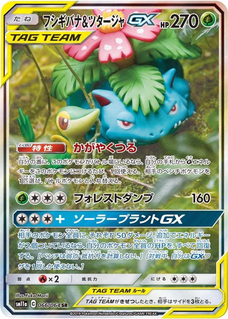 【状態B】フシギバナ＆ツタージャGX(066/064)[SA]【sm11a】