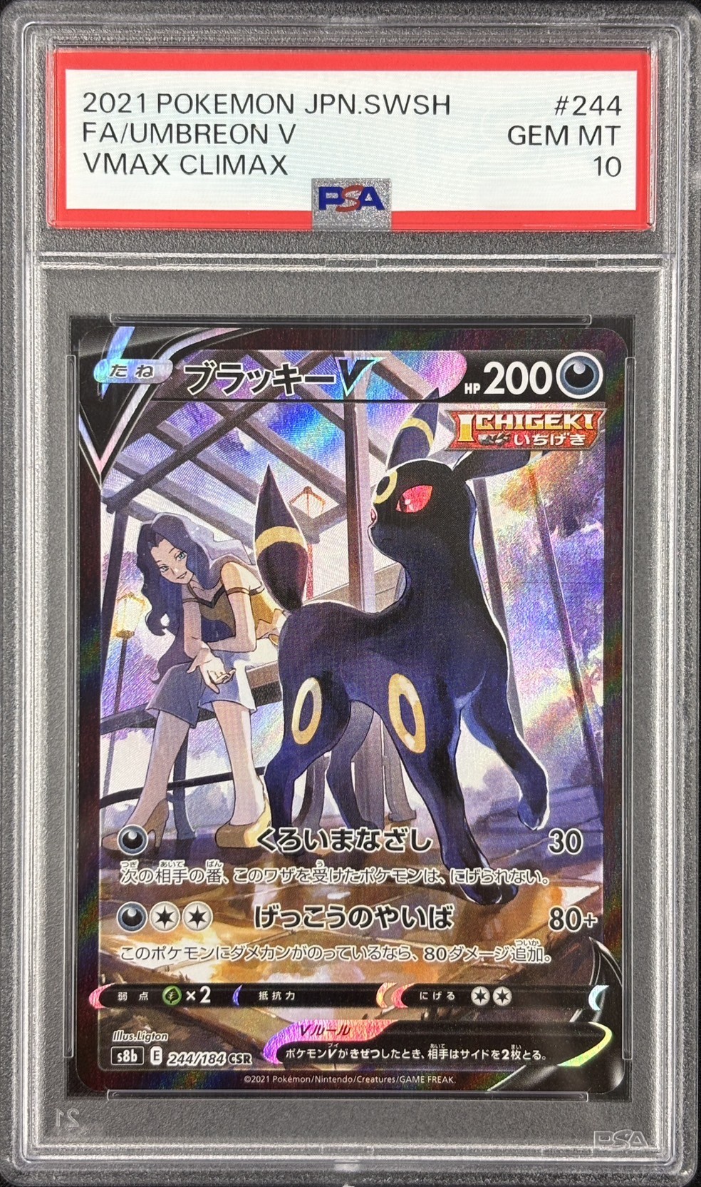 【PSA10】ブラッキーV(244/184)[CSR]【S8b】