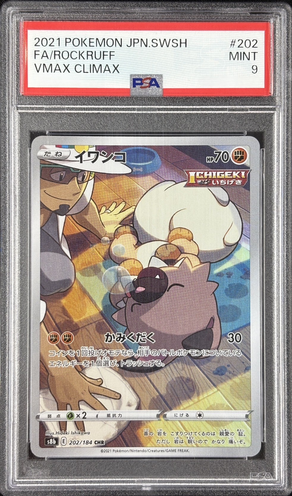 【PSA9】イワンコ(202/184)[CHR]【S8b】