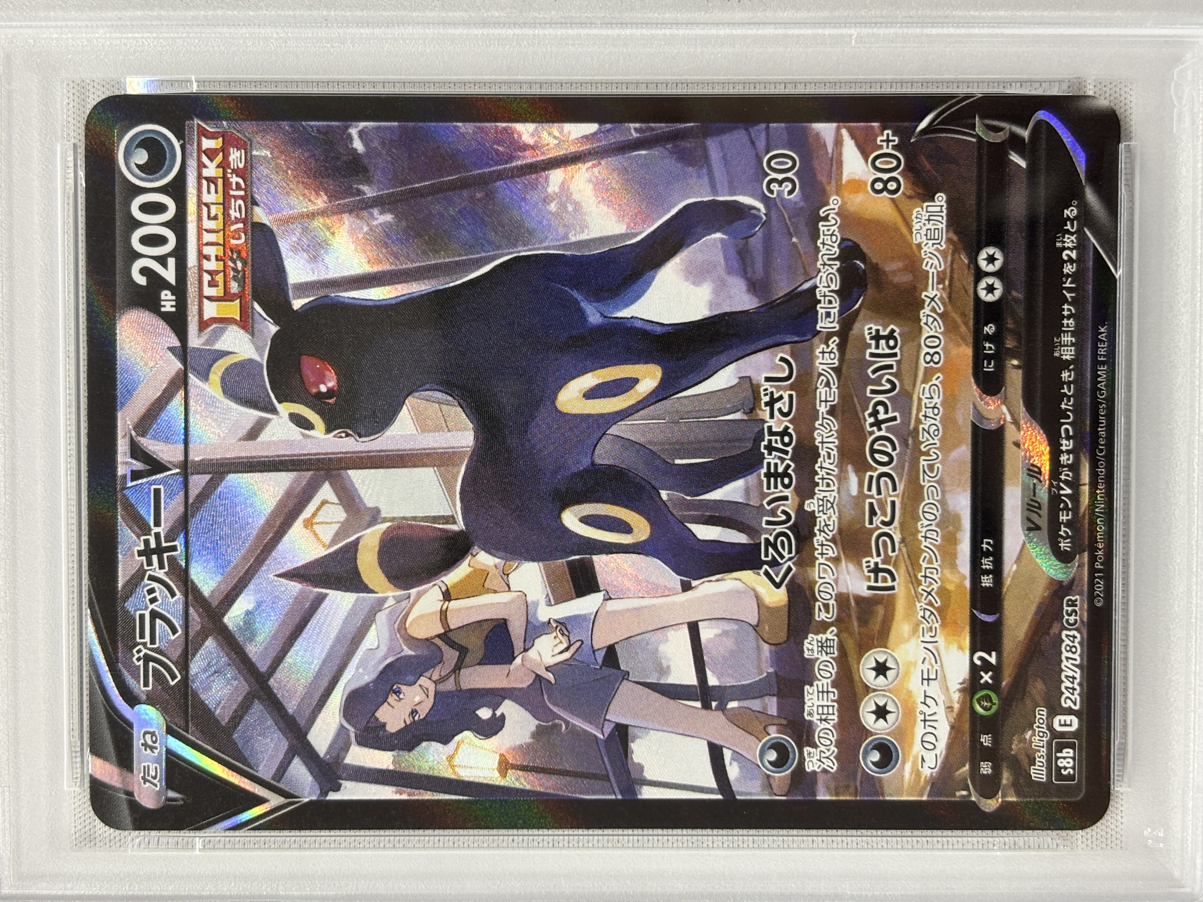 【PSA10】ブラッキーV(244/184)[CSR]【S8b】
