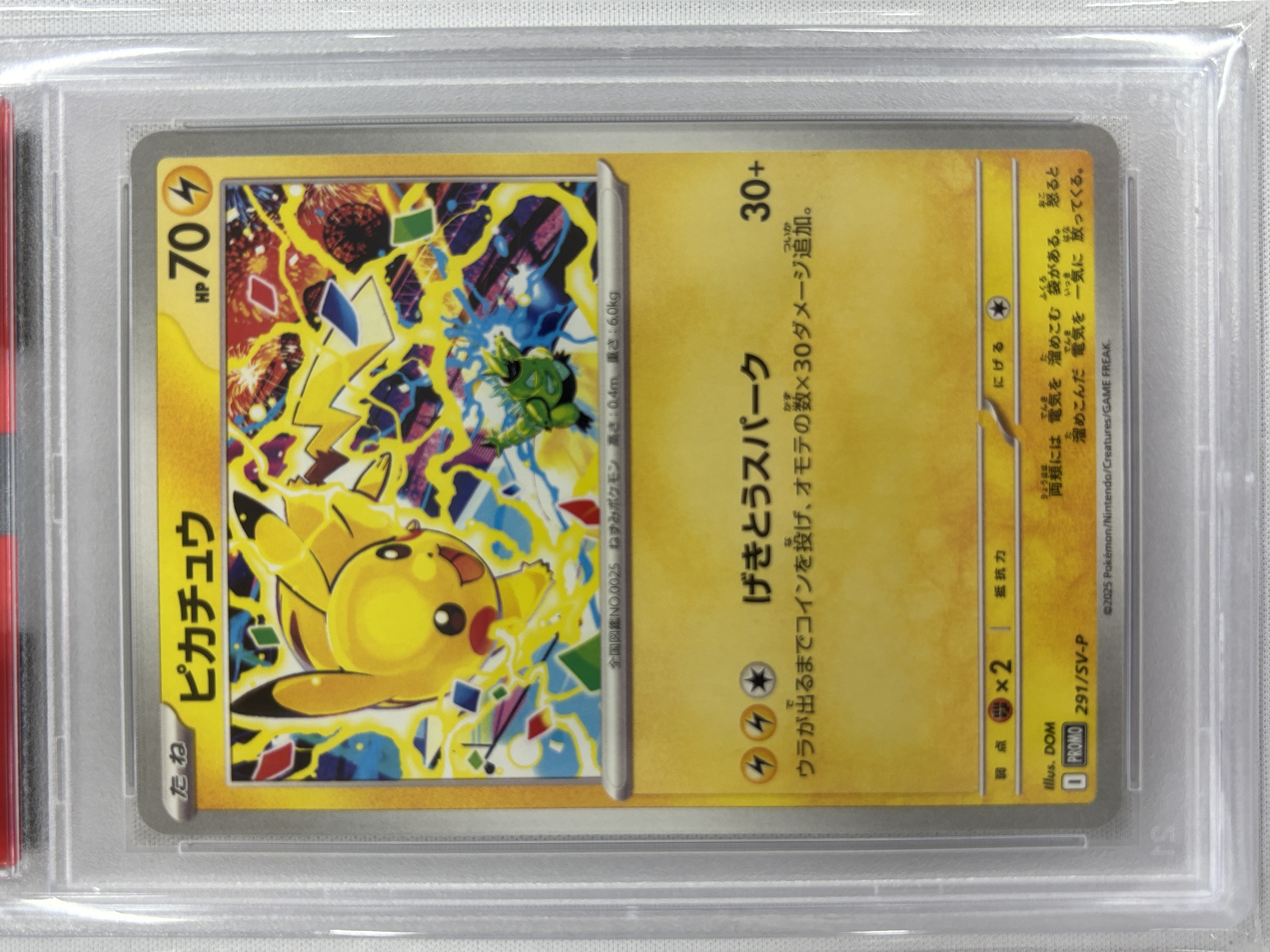 【PSA10】ピカチュウ(291/SV-P)［P］【PROMO】