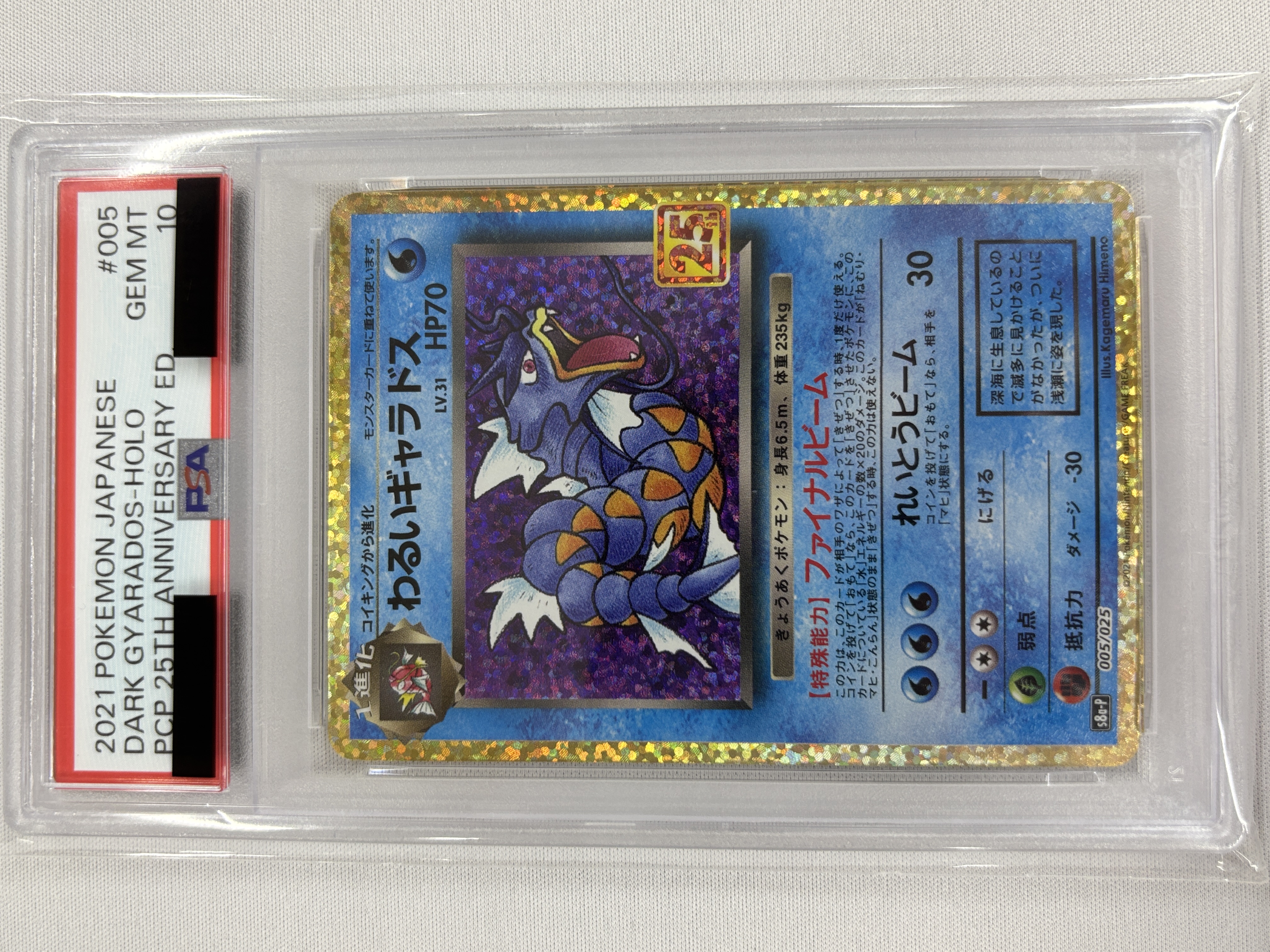 【PSA10】わるいギャラドス(005/025)[P]【S8a-P】