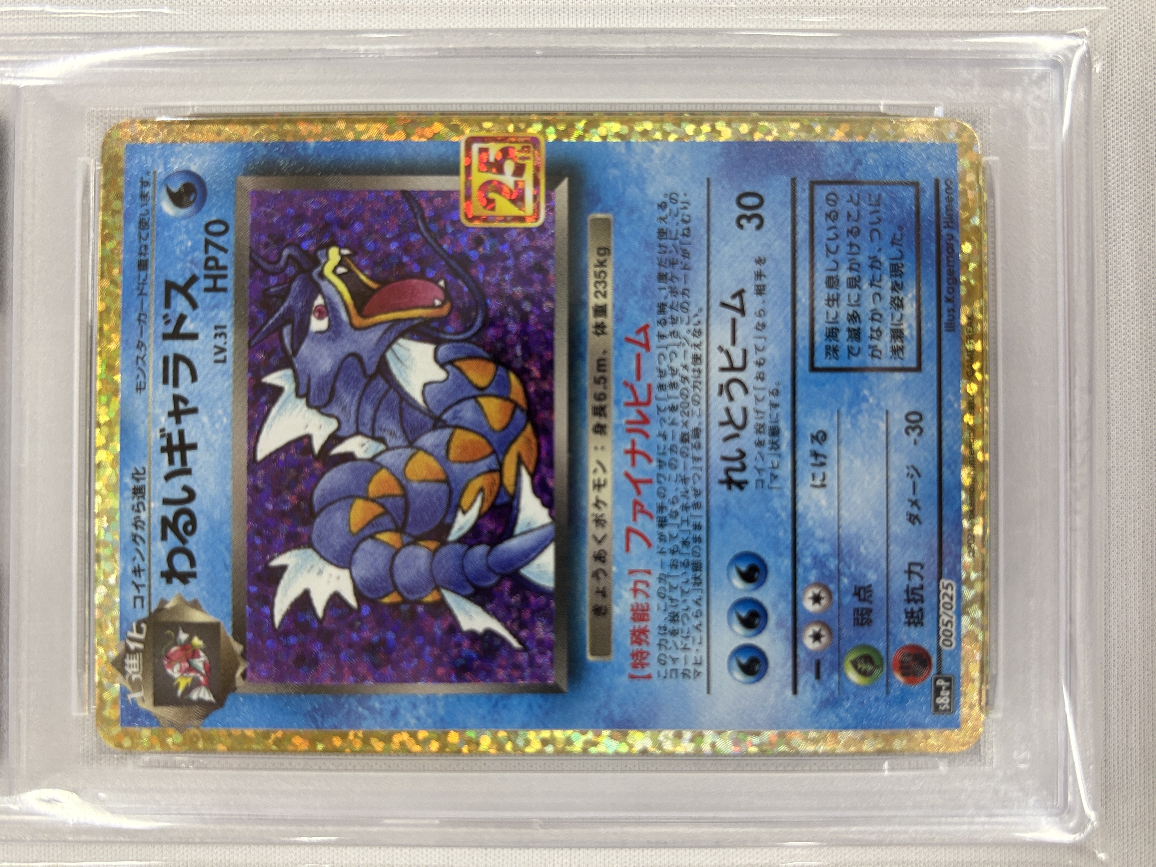 【PSA10】わるいギャラドス(005/025)[P]【S8a-P】