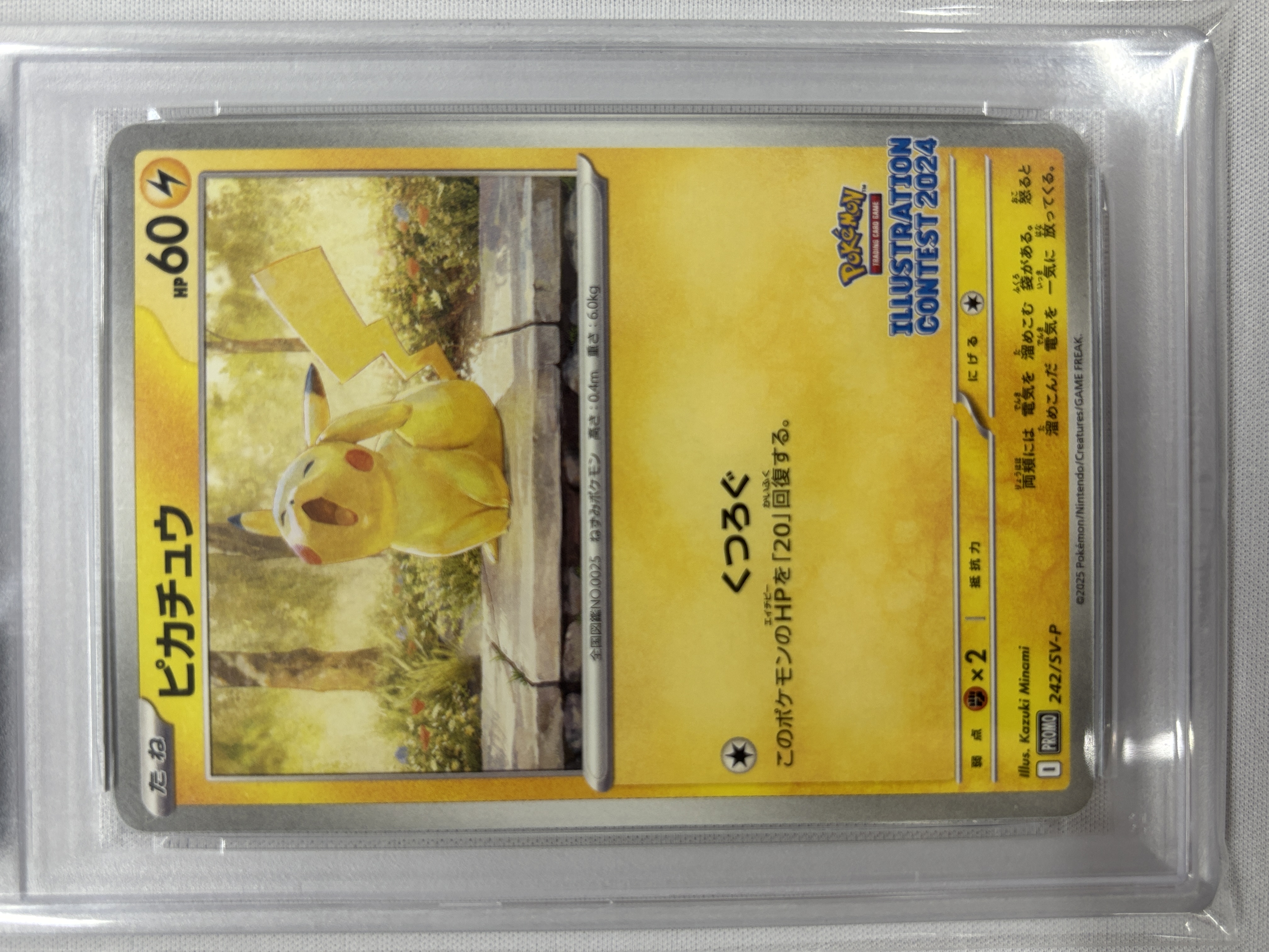 【PSA10】ピカチュウ (242/SV-P)[P]【PROMO】
