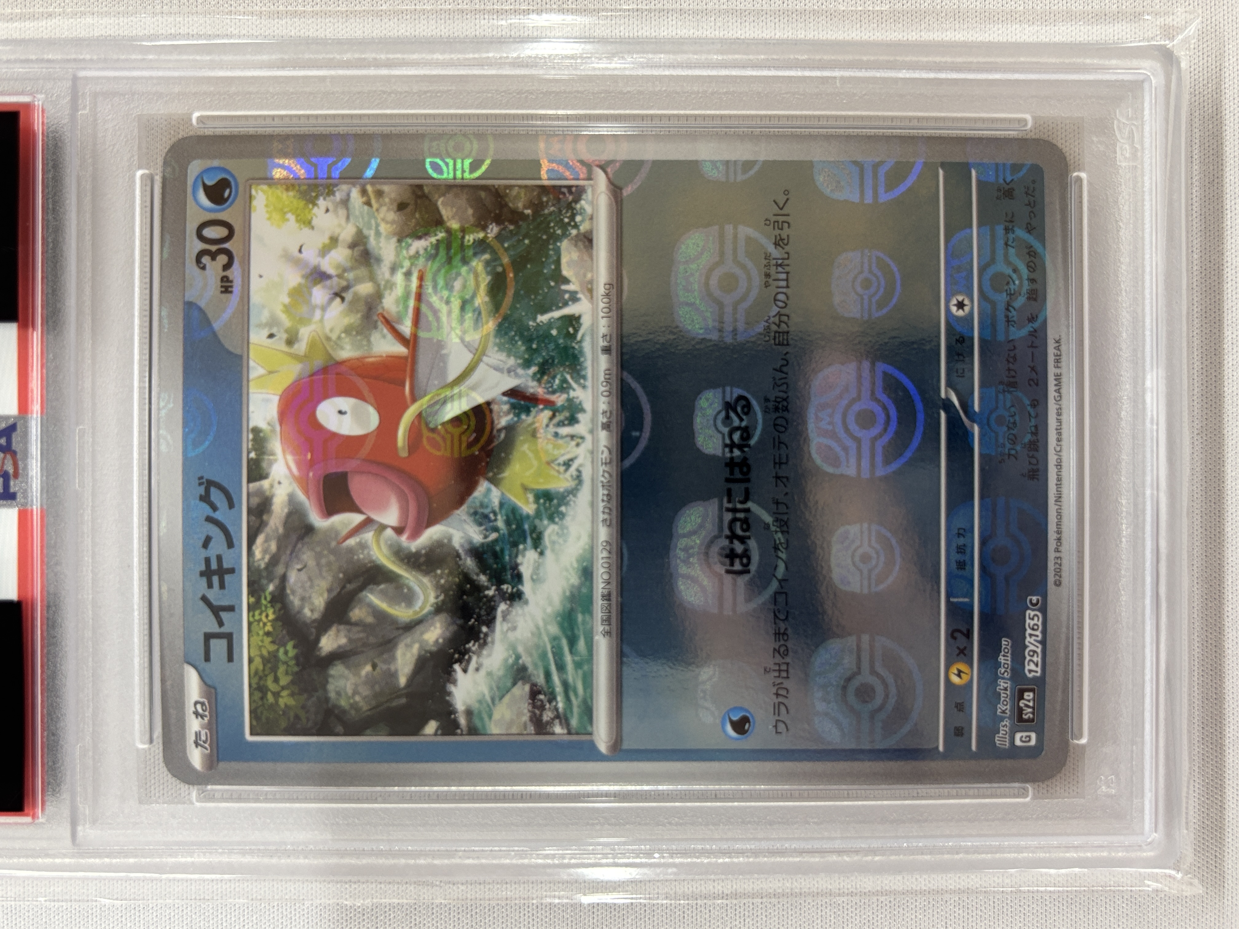 【PSA10】コイキング[マスタ―ボールミラー](129/165)[C]【SV2a】