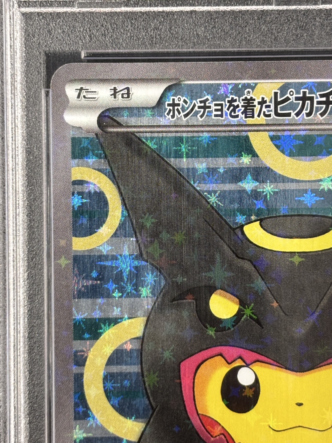 【PSA10】ポンチョを着たピカチュウ(231/XY-P)[]【PROMO】