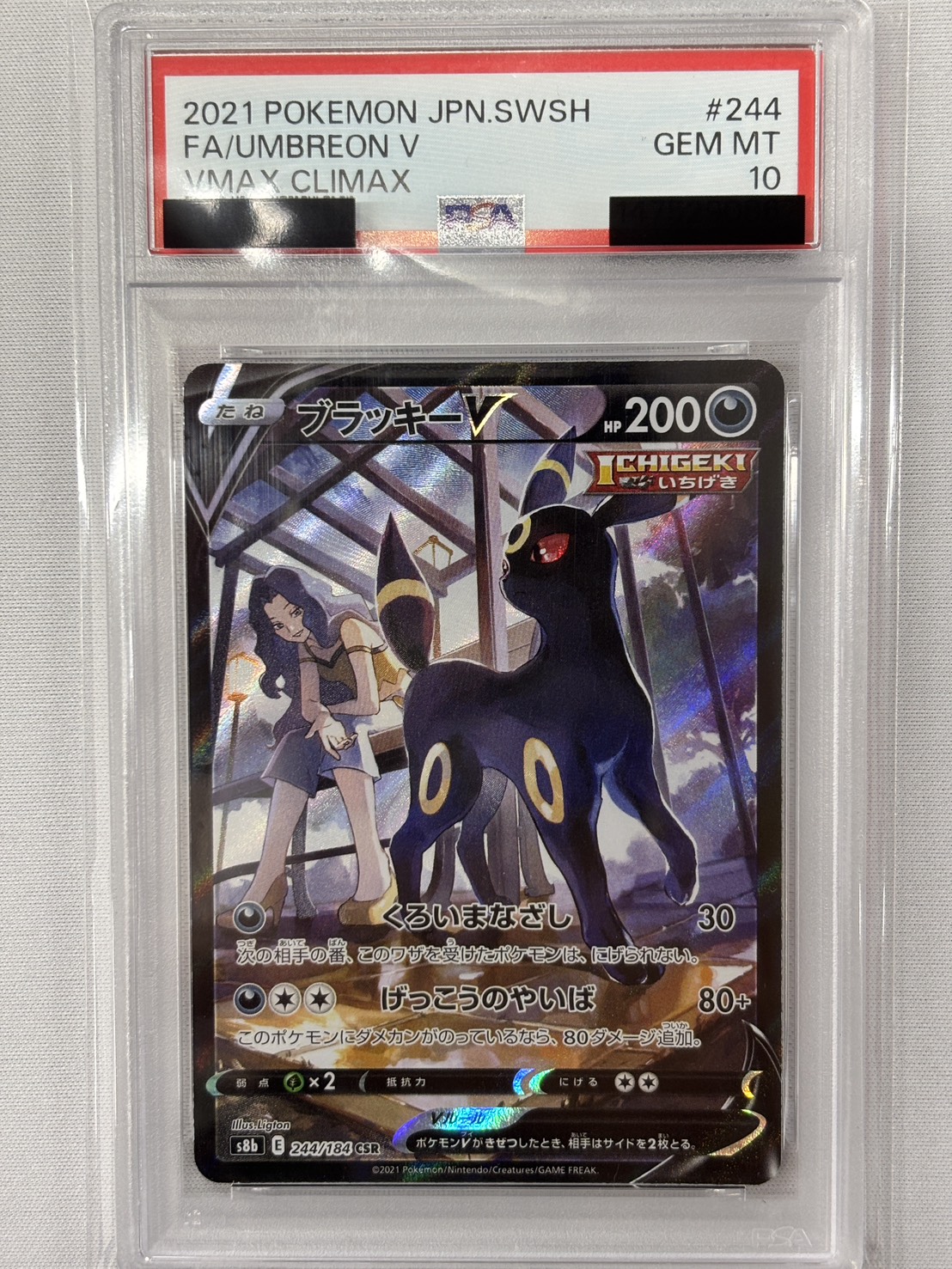 【PSA10】ブラッキーV(244/184)[CSR]【S8b】