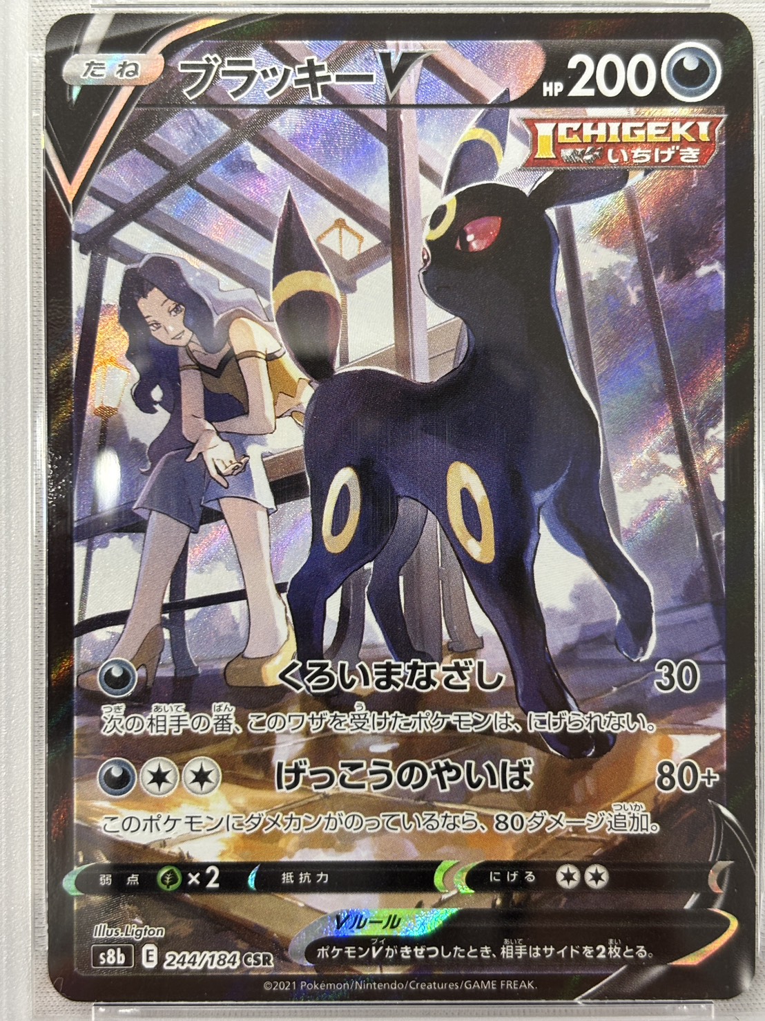 【PSA10】ブラッキーV(244/184)[CSR]【S8b】