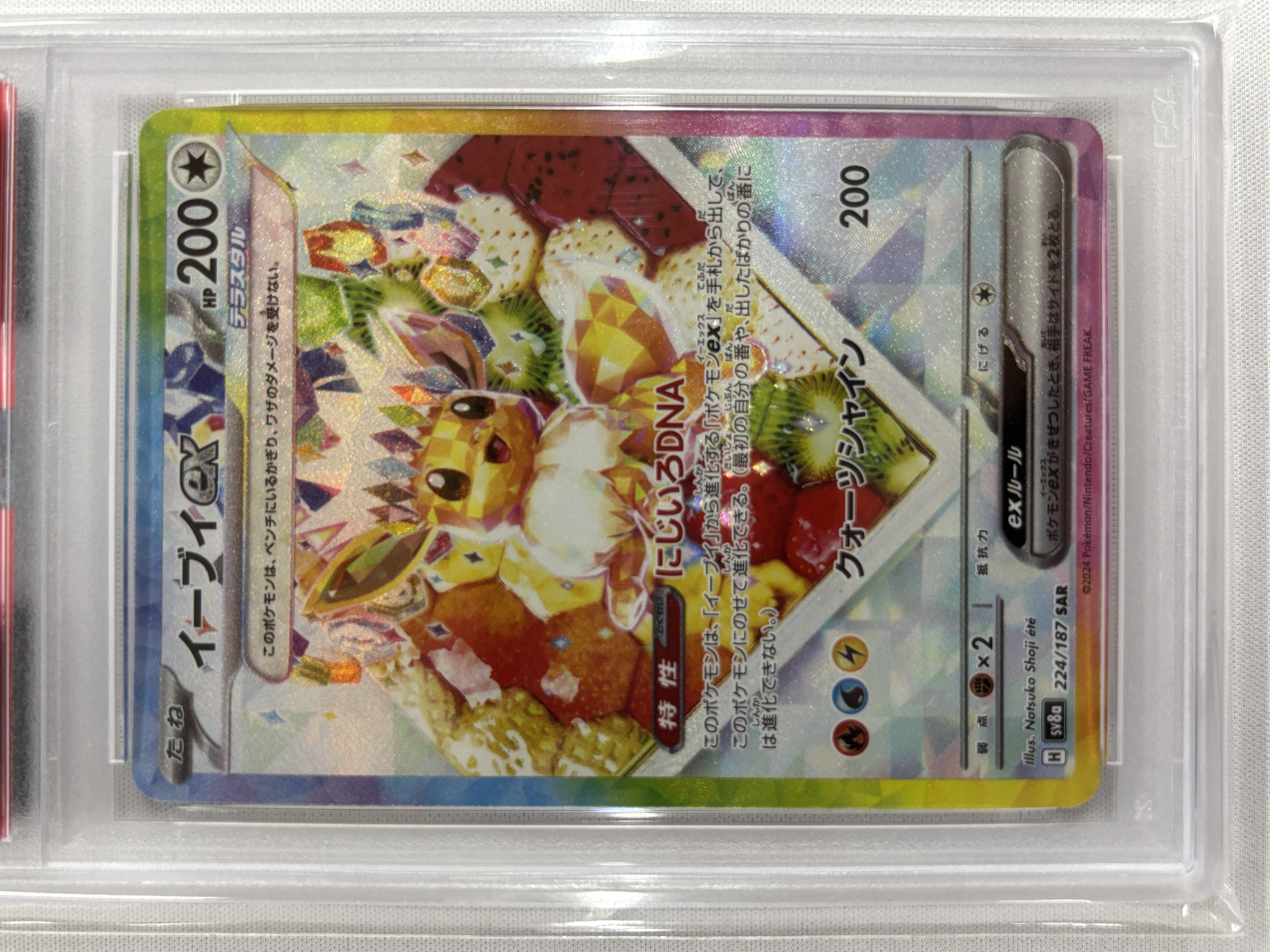 【PSA10】イーブイex(224/187)[SAR]【SV8a】