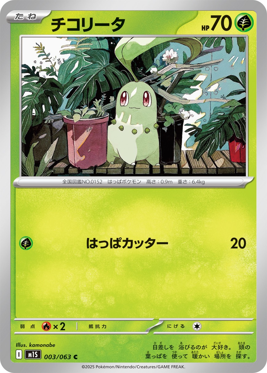 【SALE】チコリータ(003/063)[C]【M1S】