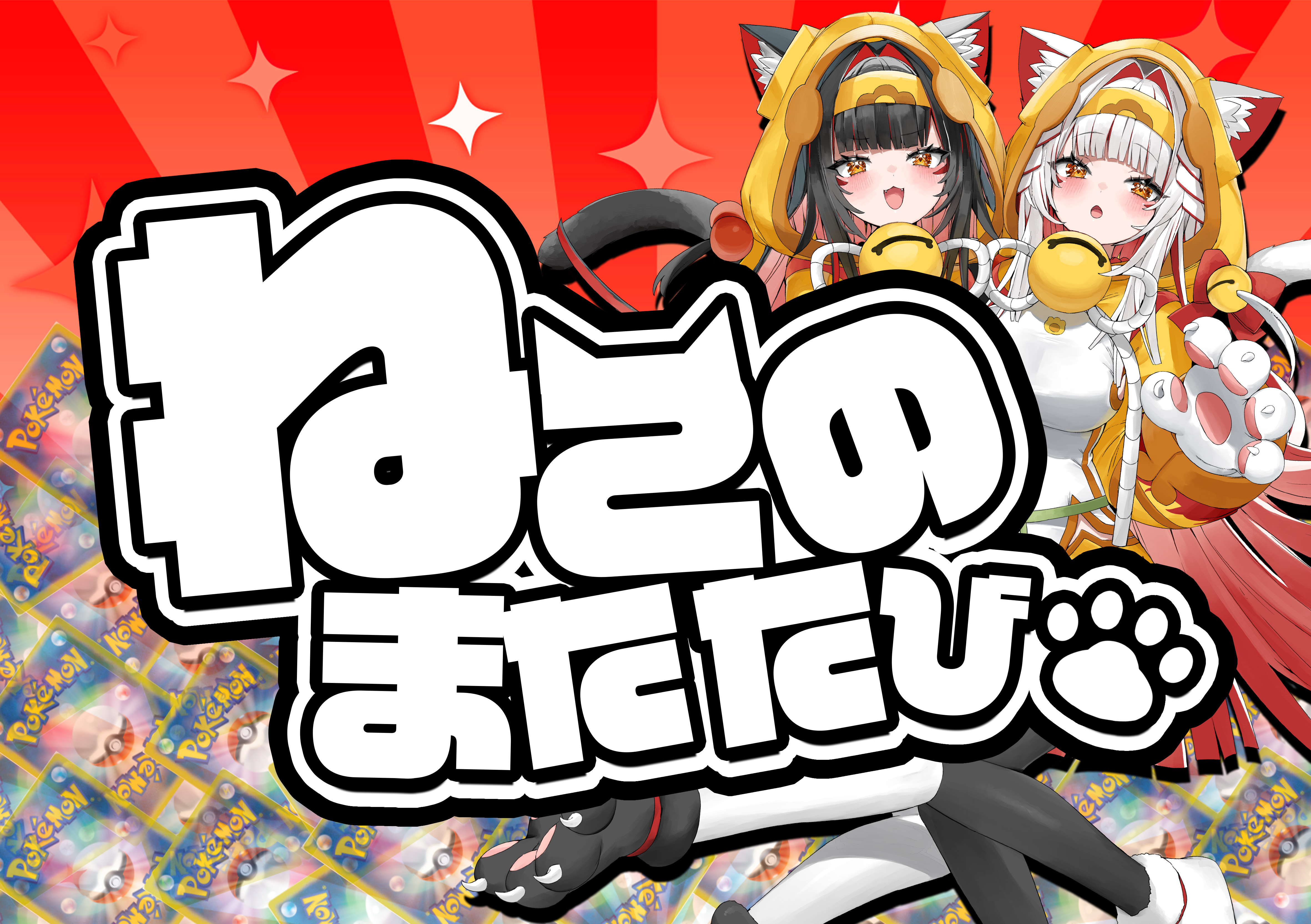 ねこのまたたび(リザードン&テールナー)※同時購入不可
