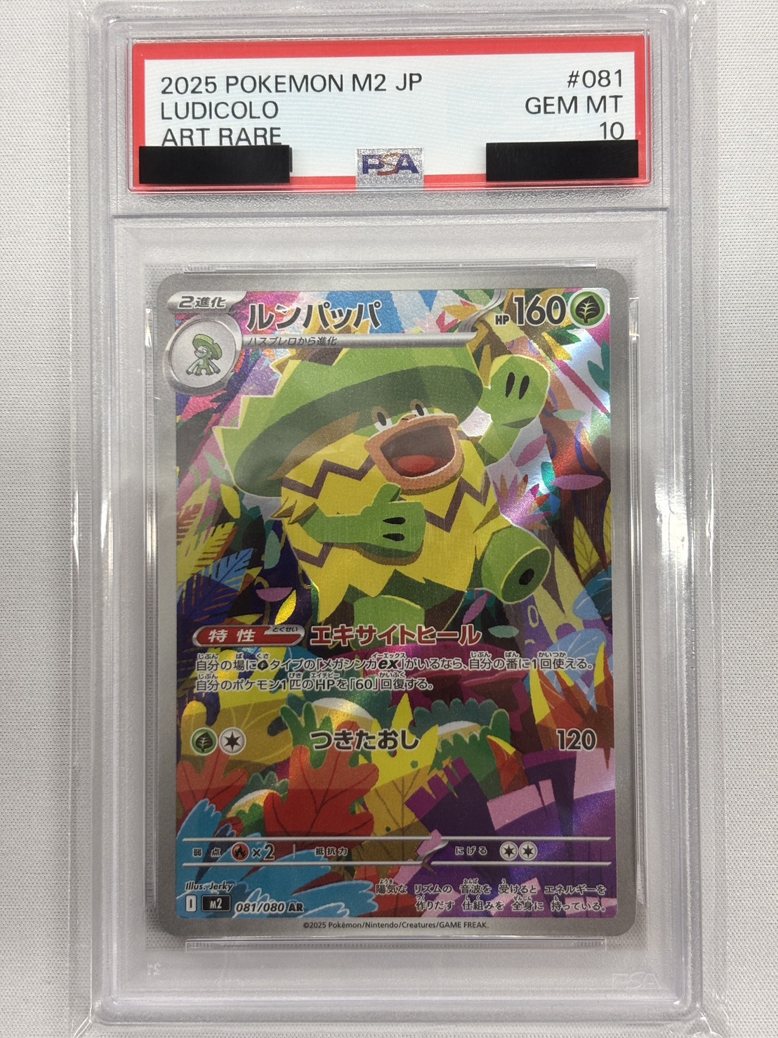 【PSA10】ルンパッパ(081/080)[AR]【M2】