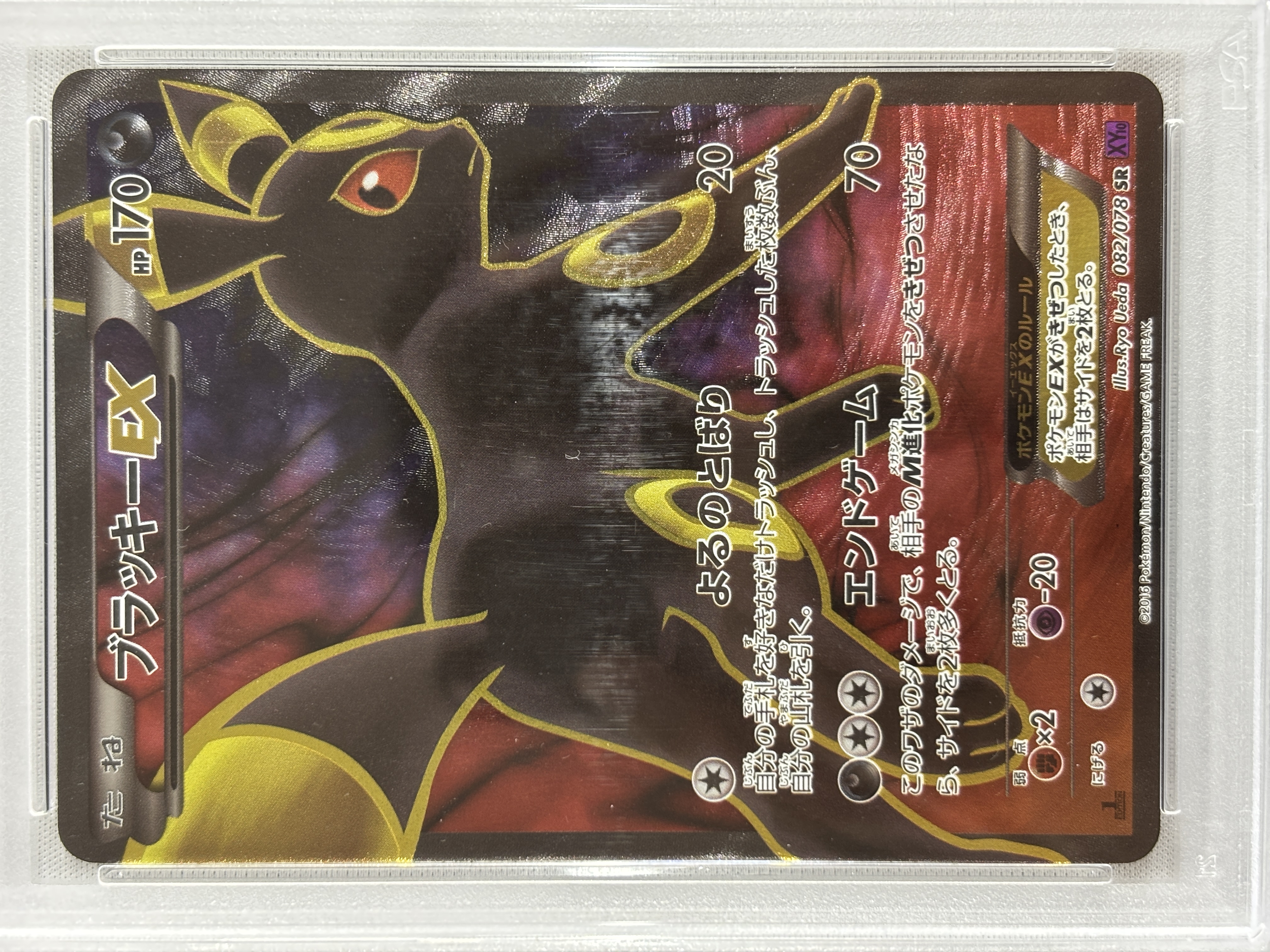 【PSA10】ブラッキーEX(082/078)[SR]【XY】
