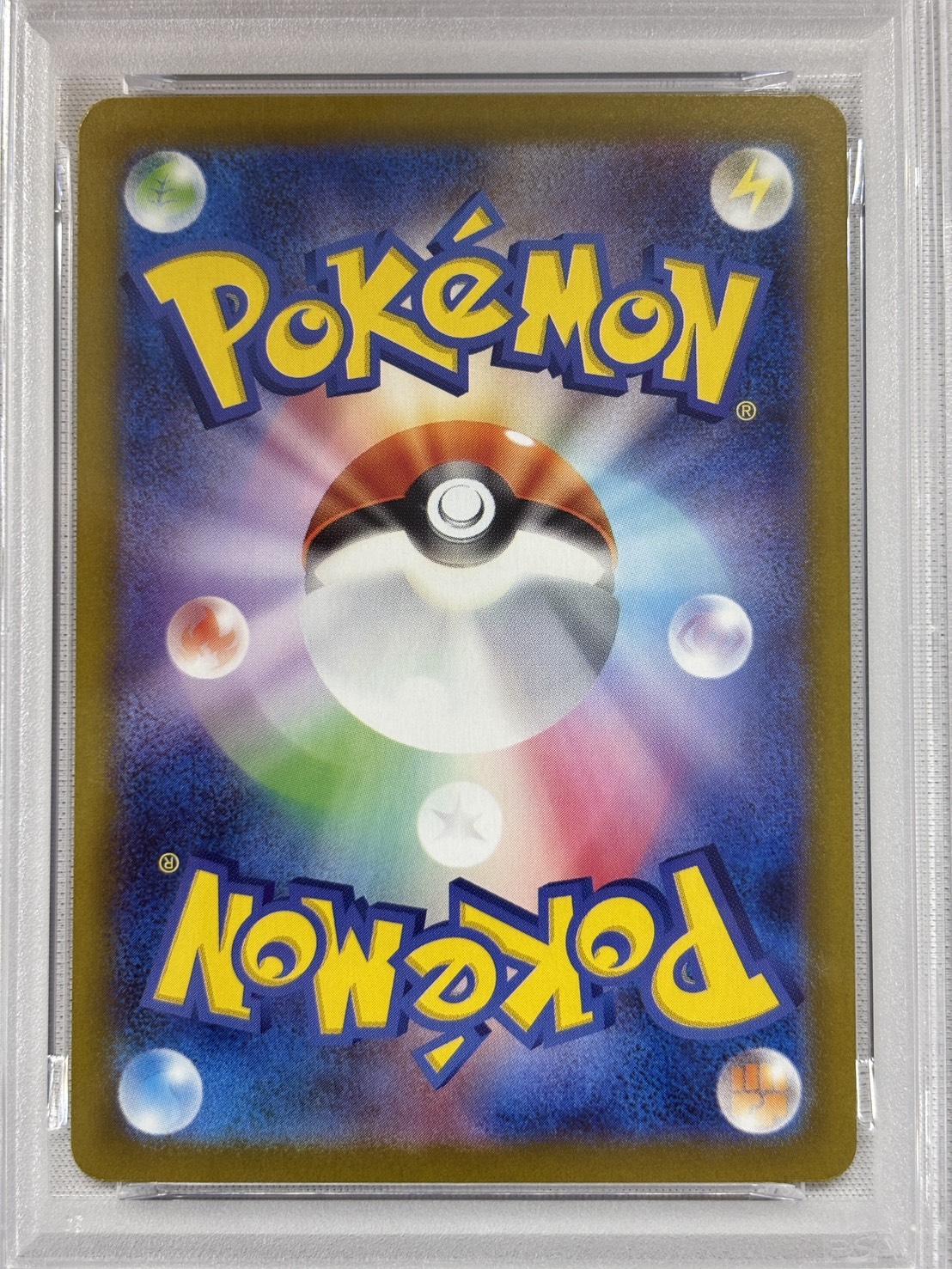 【PSA10】ブラッキーex(217/187)[SAR]【SV8a】
