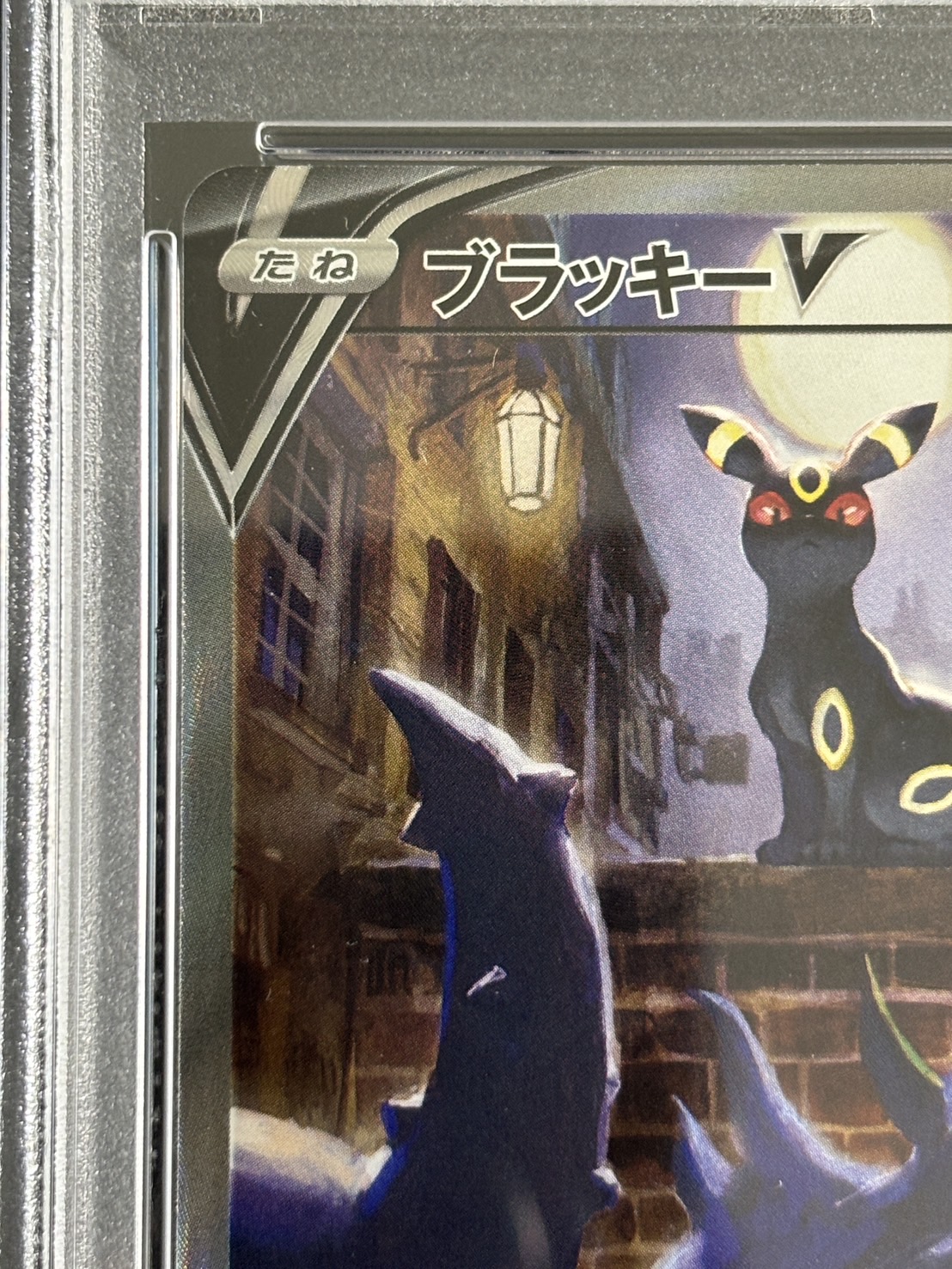 【鑑定済み：PSA10】ブラッキーV(085/069)[SA]【s6a】