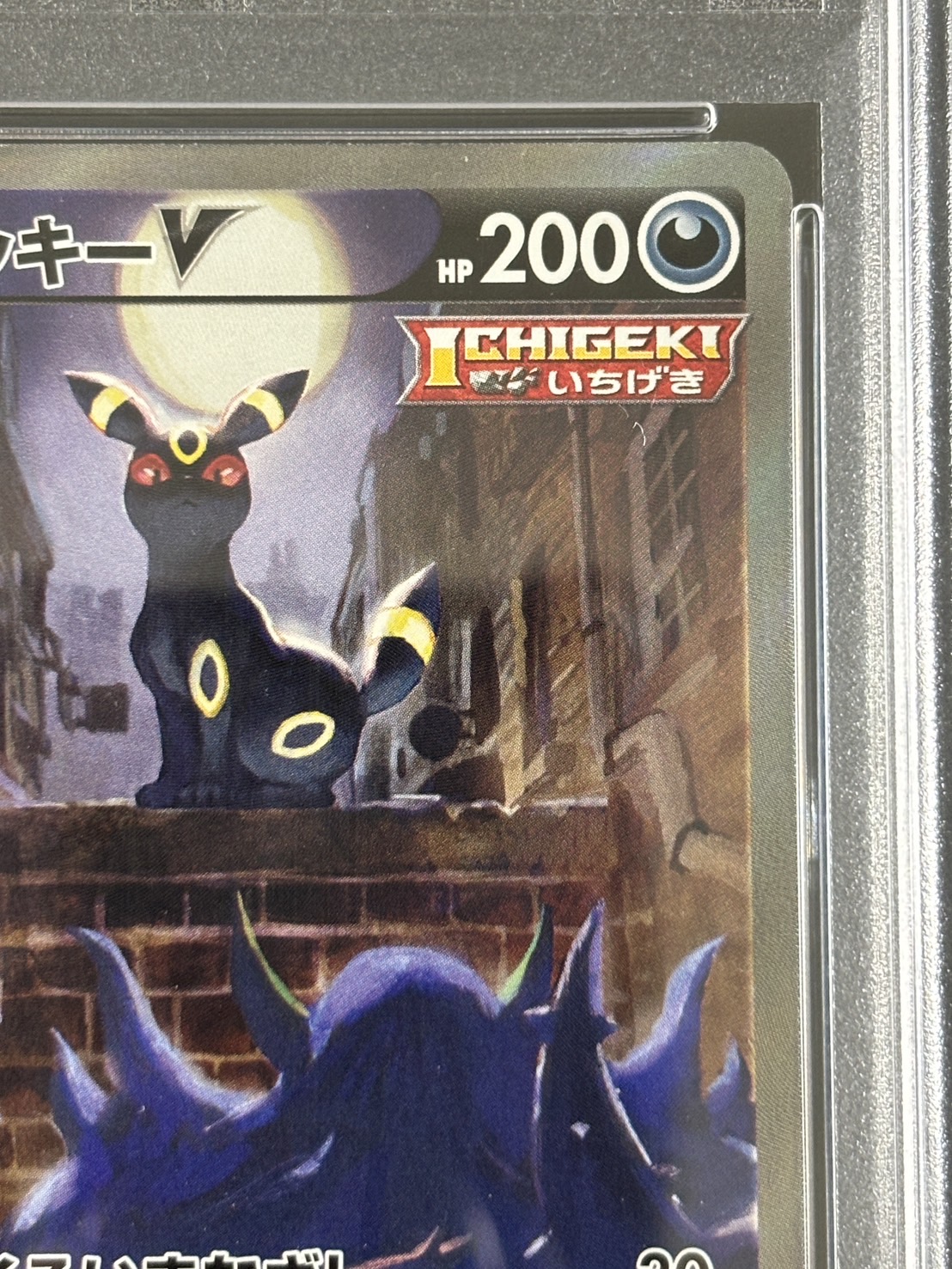 【鑑定済み：PSA10】ブラッキーV(085/069)[SA]【s6a】