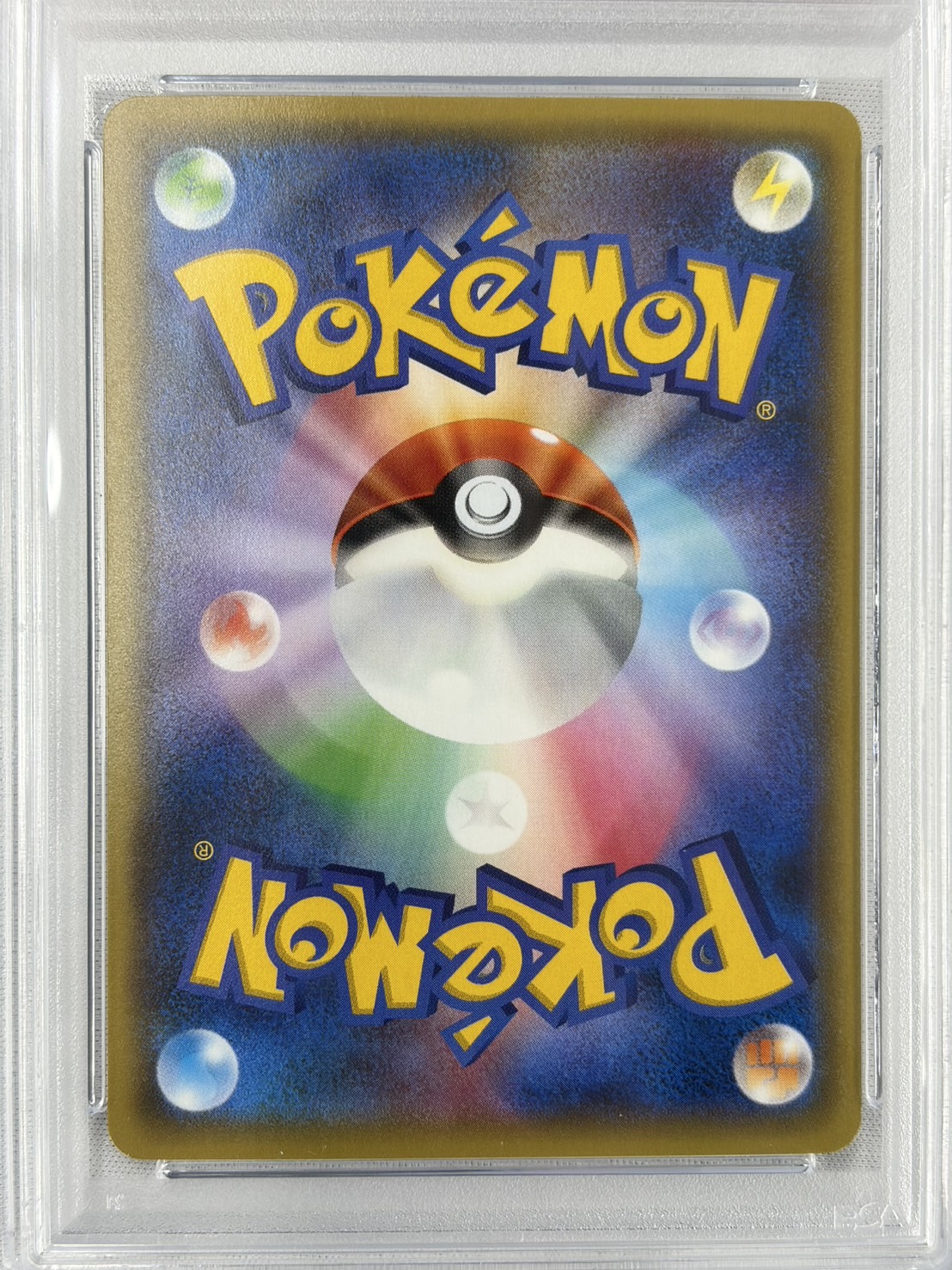 【PSA10】フウロ(164/XY-P)[SR仕様]【P】