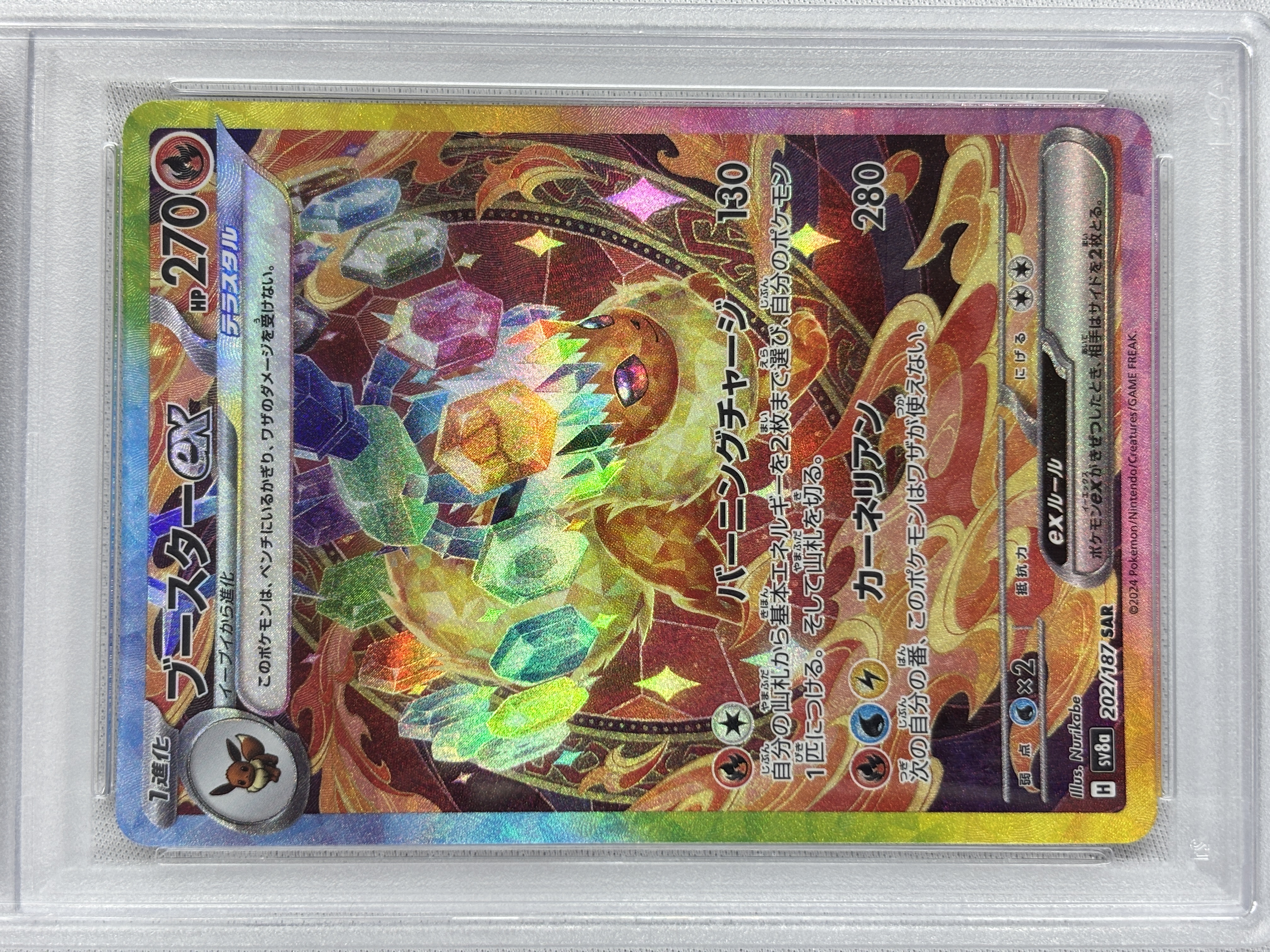 【PSA10】ブースターex(202/187)[SAR]【SV8a】②